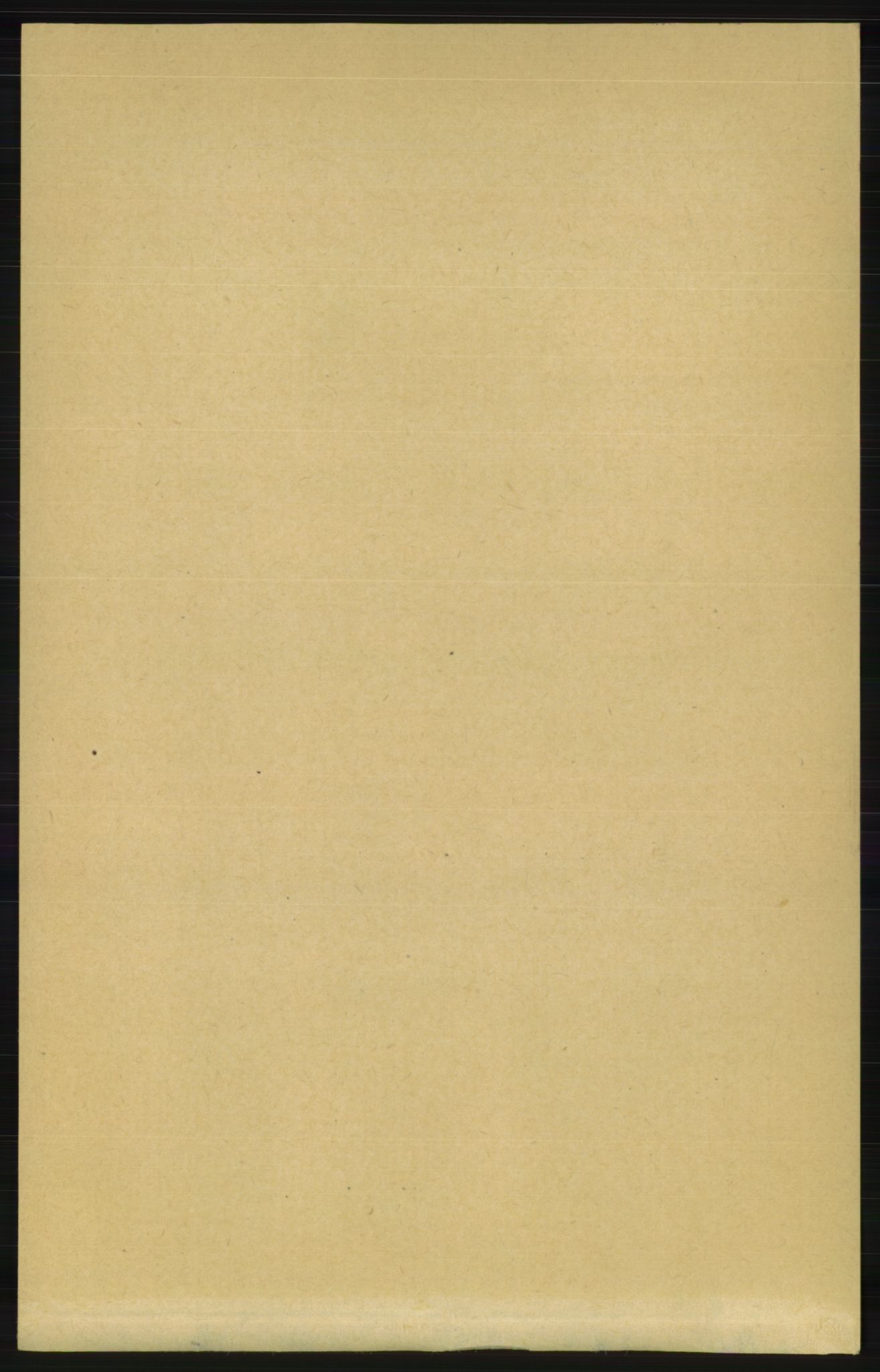 RA, 1891 census for 1020 Holum, 1891, p. 45