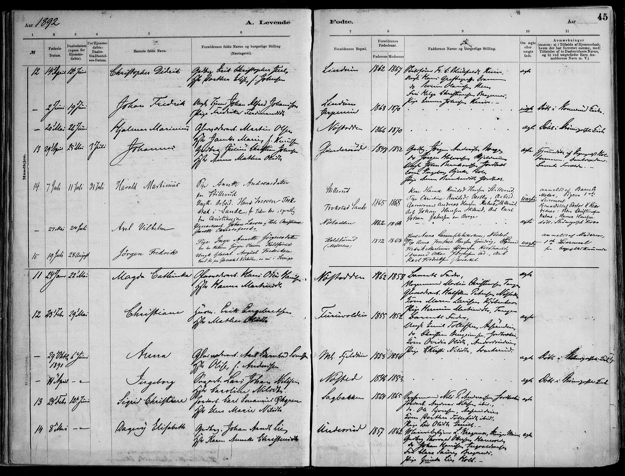 Skoger kirkebøker, AV/SAKO-A-59/F/Fa/L0006: Parish register (official) no. I 6, 1885-1910, p. 45