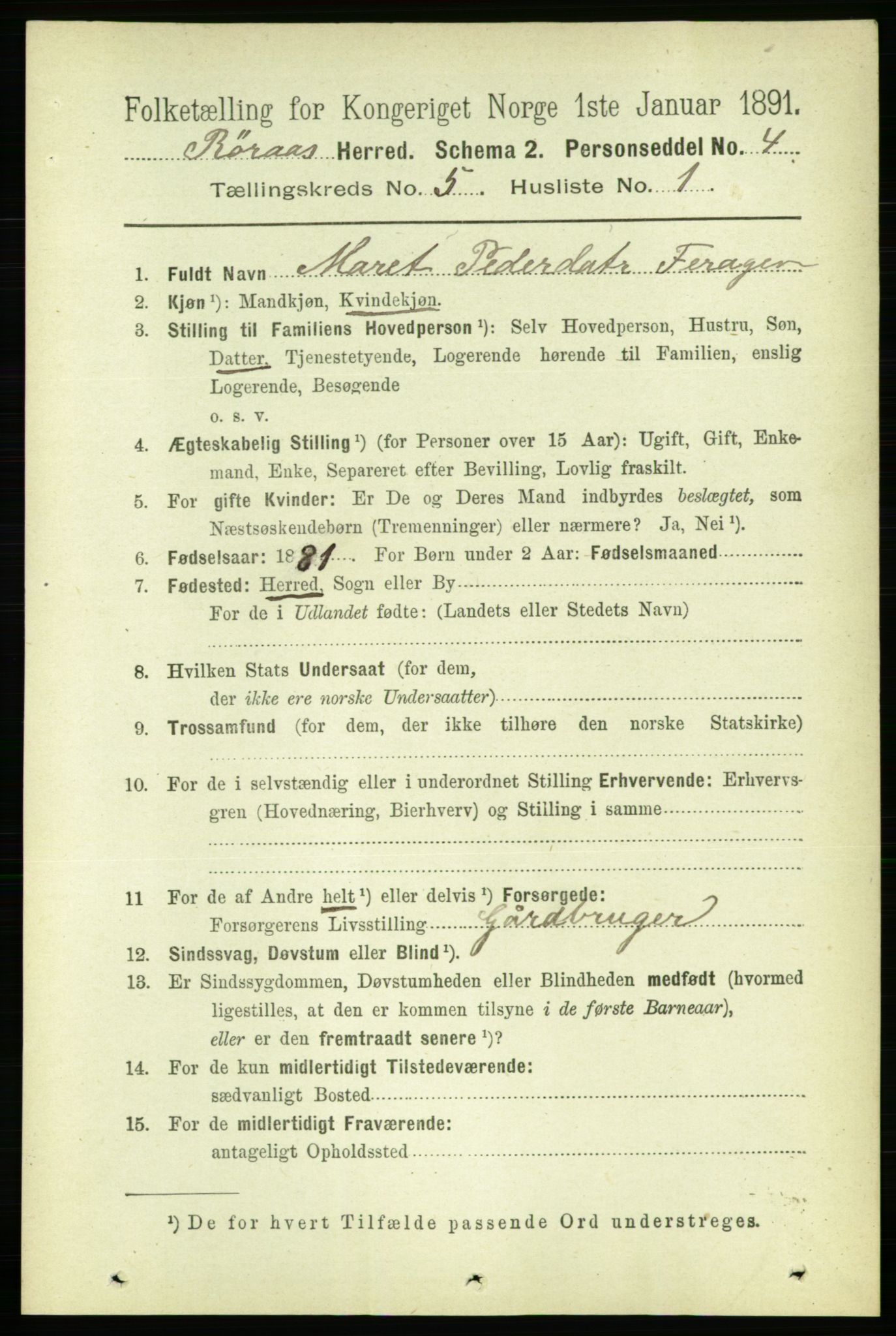 RA, 1891 census for 1640 Røros, 1891, p. 1024