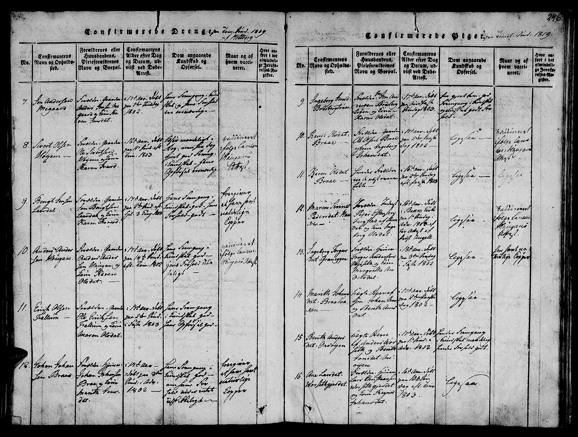 Ministerialprotokoller, klokkerbøker og fødselsregistre - Sør-Trøndelag, SAT/A-1456/612/L0372: Parish register (official) no. 612A06 /1, 1816-1828, p. 246
