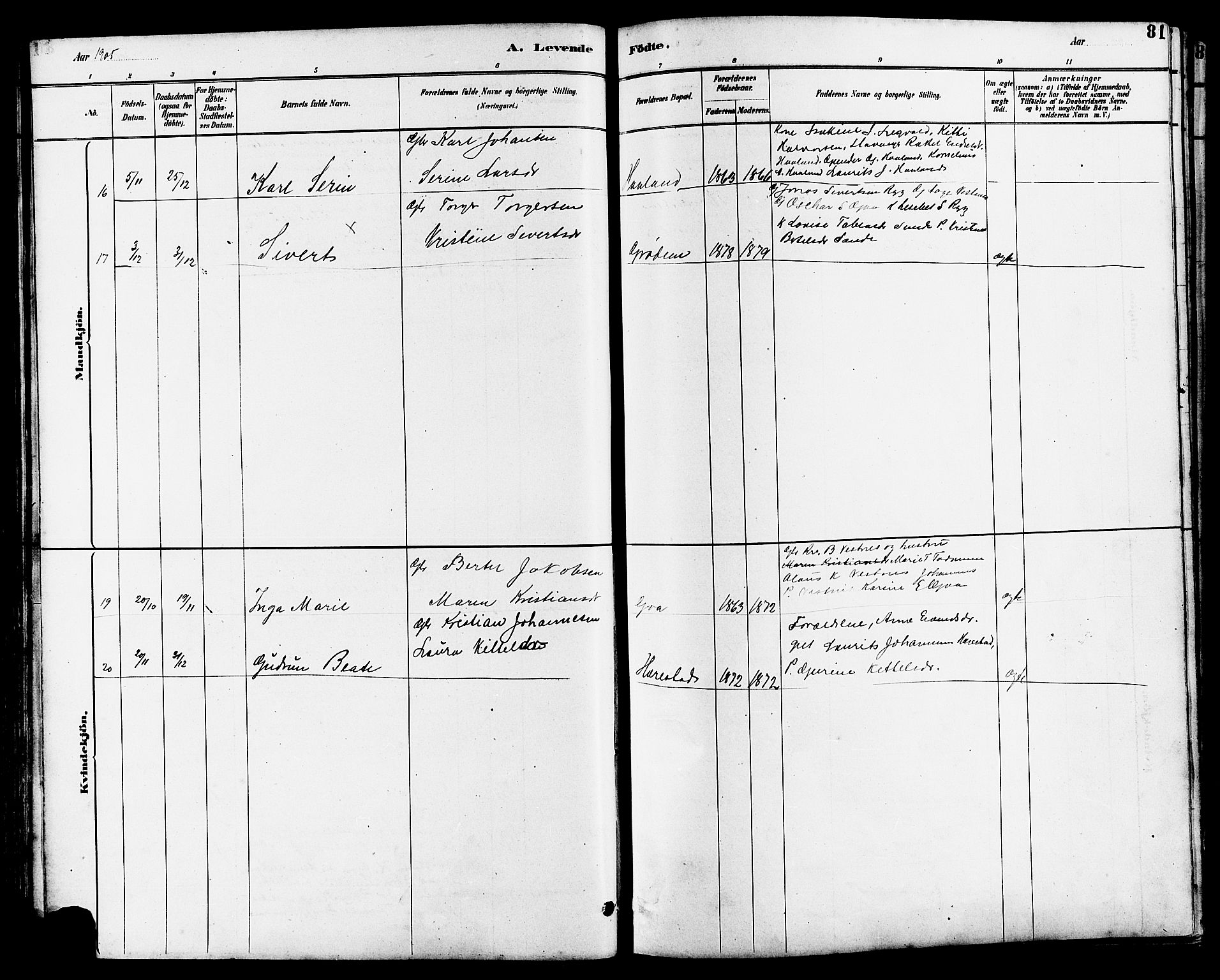 Hetland sokneprestkontor, SAST/A-101826/30/30BB/L0006: Parish register (copy) no. B 6, 1878-1921, p. 81