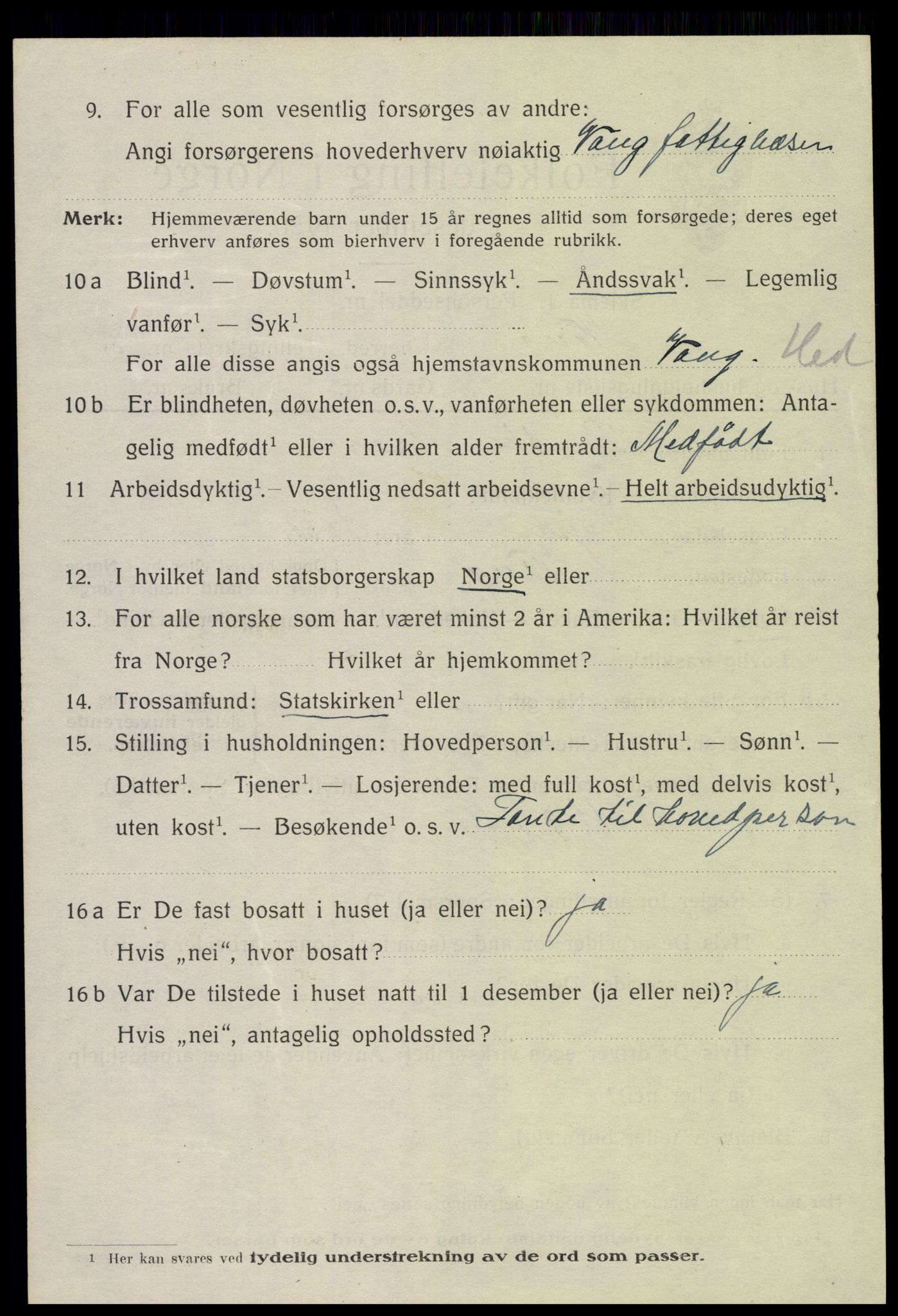 SAH, 1920 census for Vang (Hedmark), 1920, p. 17448