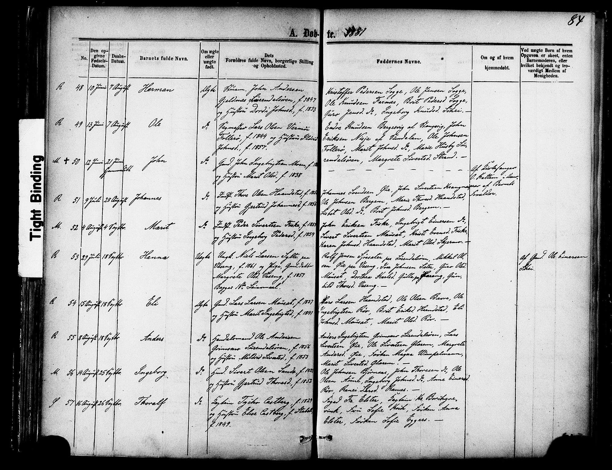 Ministerialprotokoller, klokkerbøker og fødselsregistre - Møre og Romsdal, AV/SAT-A-1454/595/L1046: Parish register (official) no. 595A08, 1874-1884, p. 84