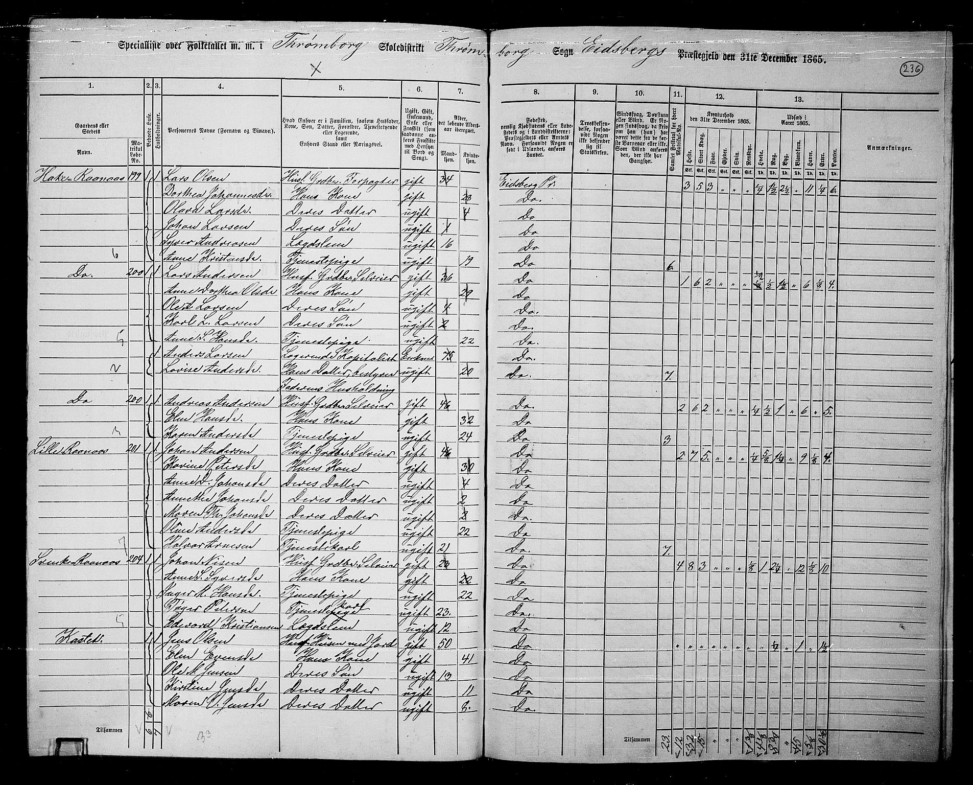 RA, 1865 census for Eidsberg, 1865, p. 213