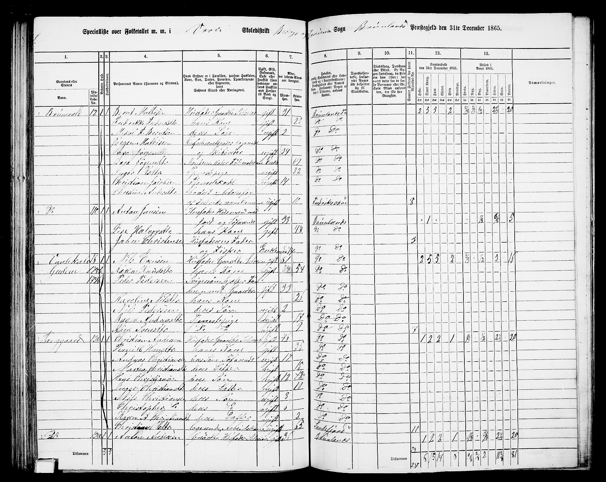 RA, 1865 census for Brunlanes, 1865, p. 123