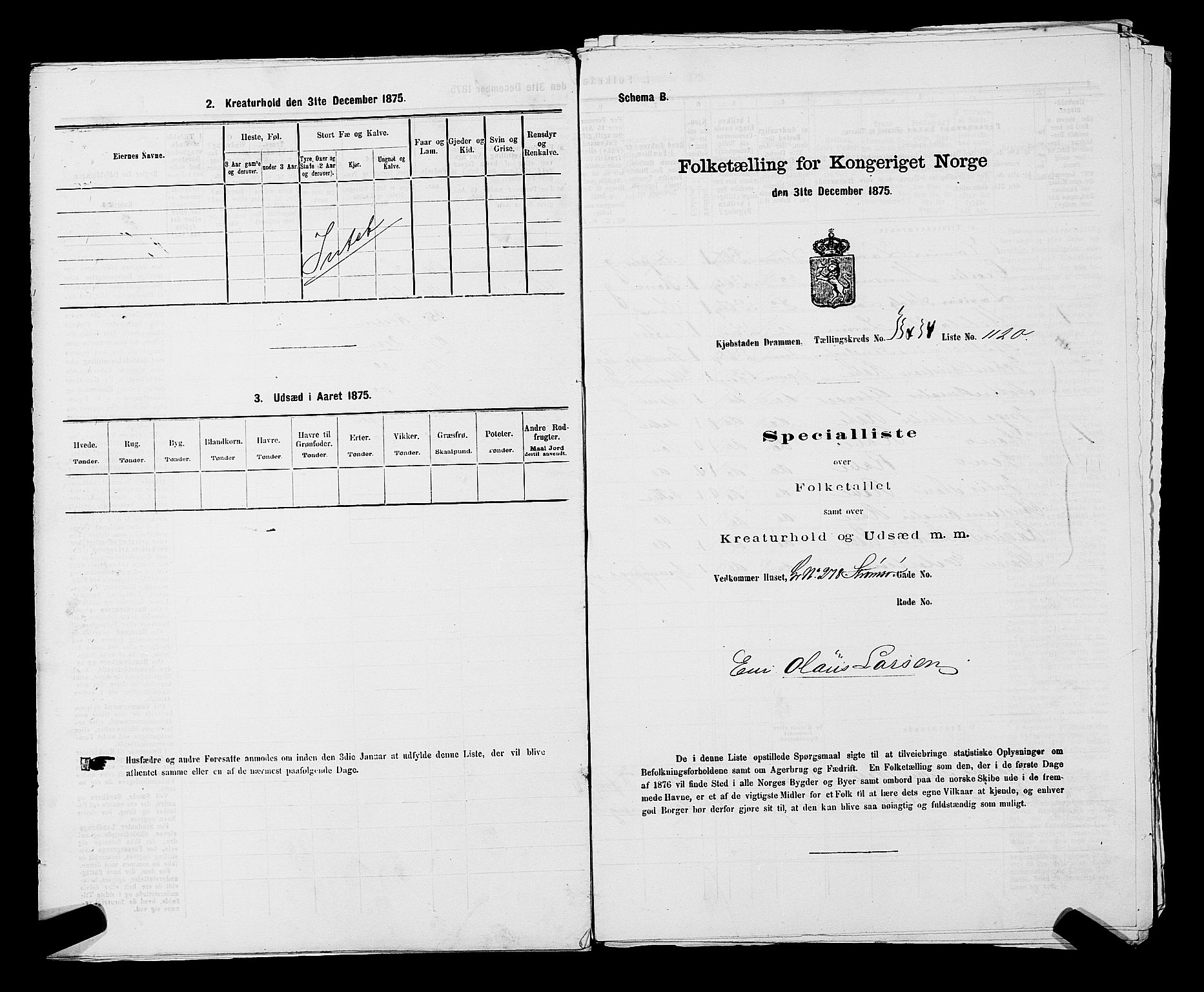 SAKO, 1875 census for 0602 Drammen, 1875, p. 2971
