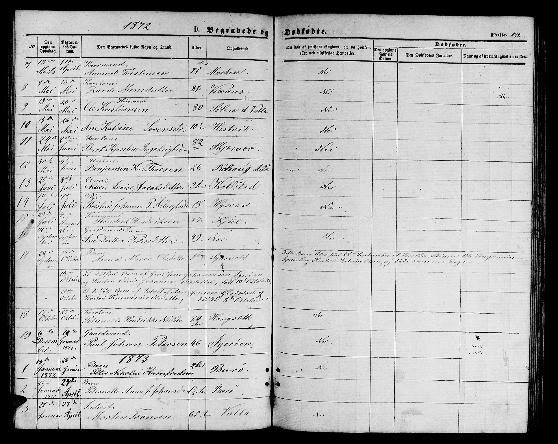 Ministerialprotokoller, klokkerbøker og fødselsregistre - Nordland, AV/SAT-A-1459/816/L0252: Parish register (copy) no. 816C02, 1871-1885, p. 172