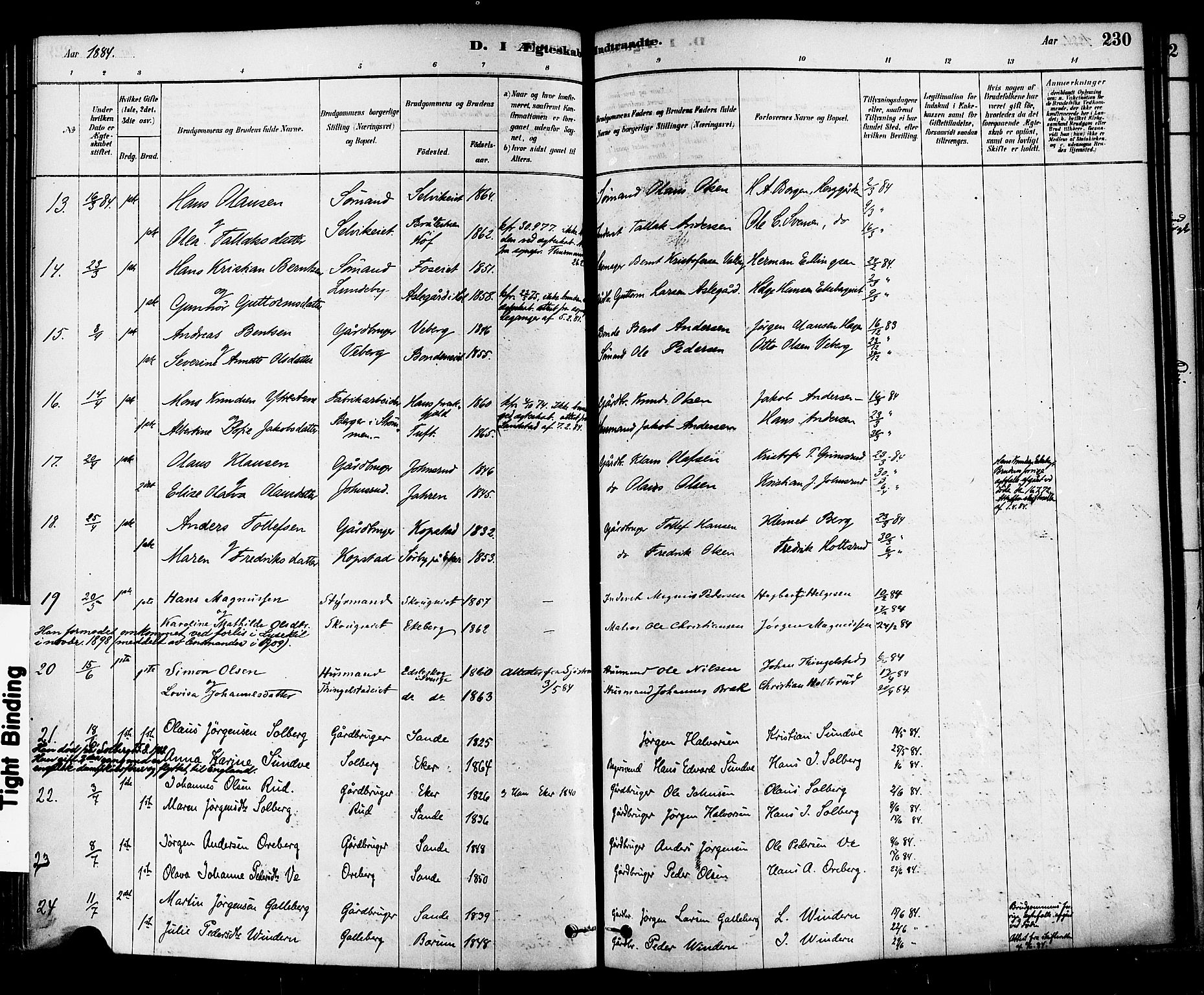 Sande Kirkebøker, AV/SAKO-A-53/F/Fa/L0006: Parish register (official) no. 6, 1878-1888, p. 230