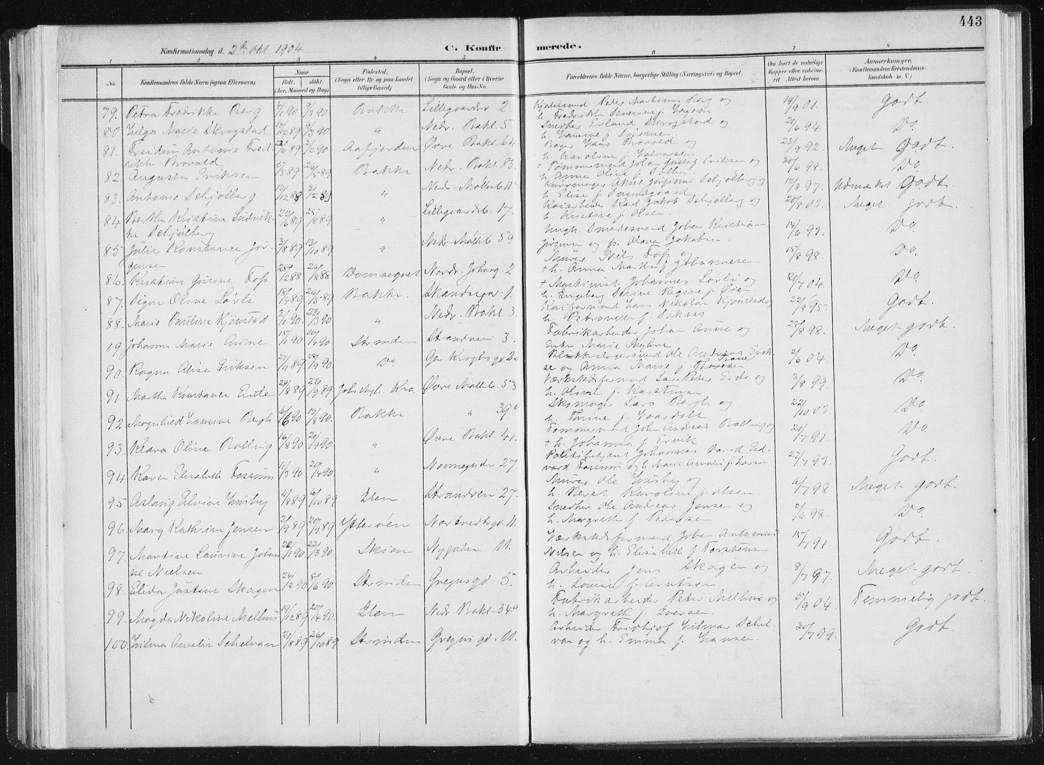 Ministerialprotokoller, klokkerbøker og fødselsregistre - Sør-Trøndelag, AV/SAT-A-1456/604/L0200: Parish register (official) no. 604A20II, 1901-1908, p. 443