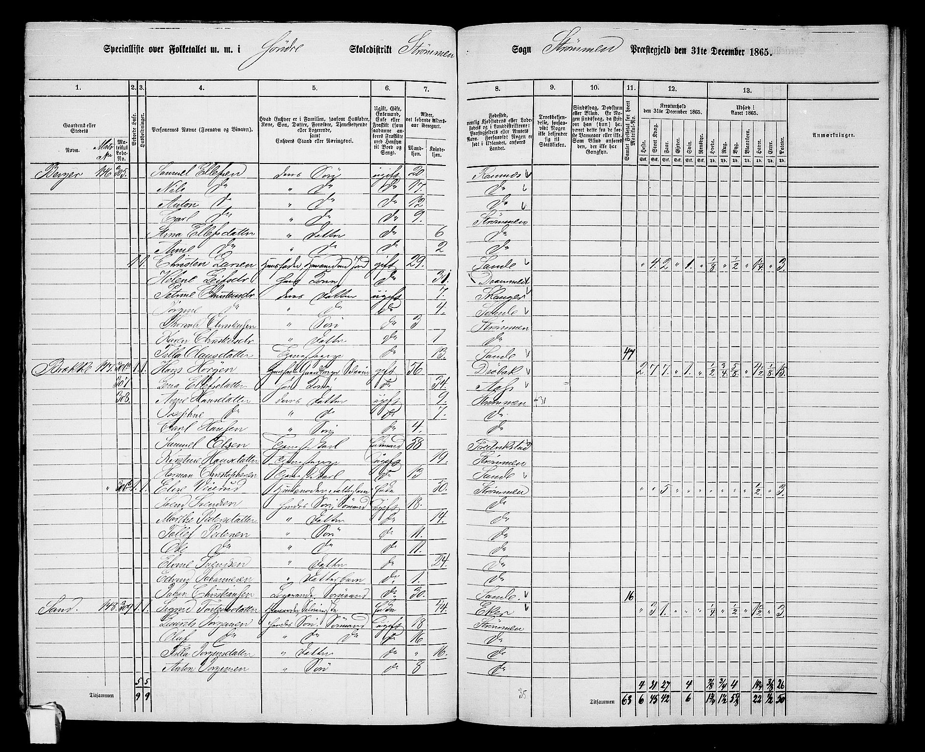 RA, 1865 census for Strømm, 1865, p. 6