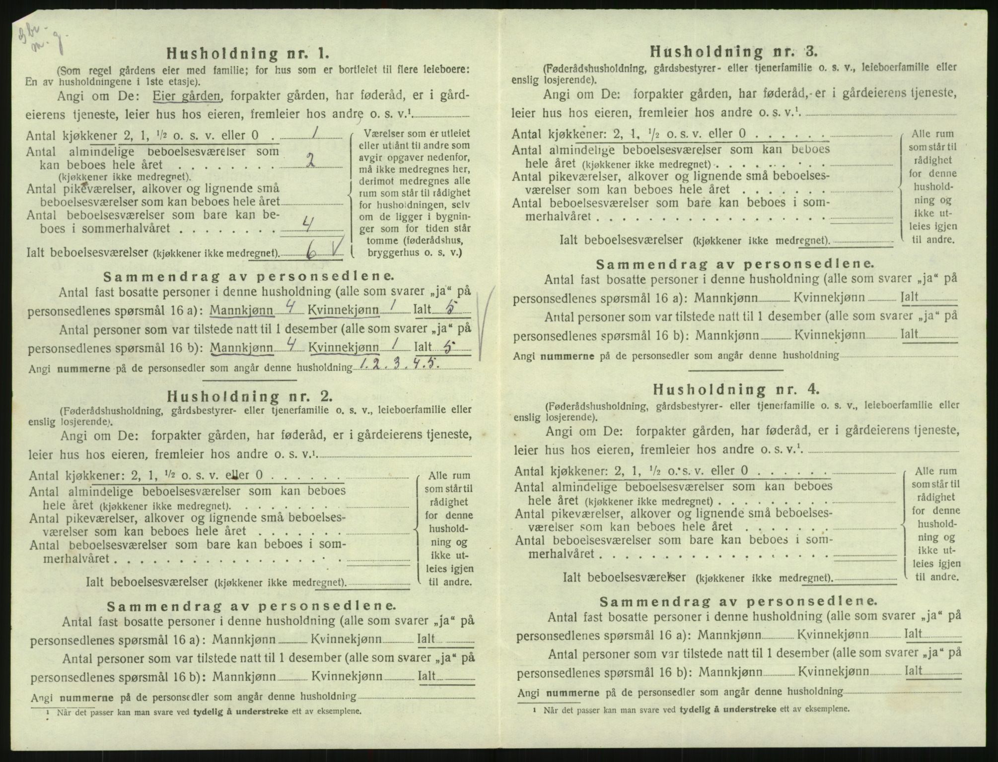 SAK, 1920 census for Hornnes, 1920, p. 250