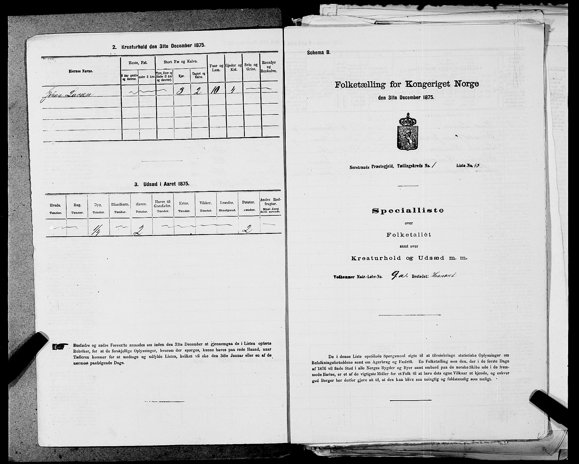 SAST, 1875 census for 1139P Nedstrand, 1875, p. 133