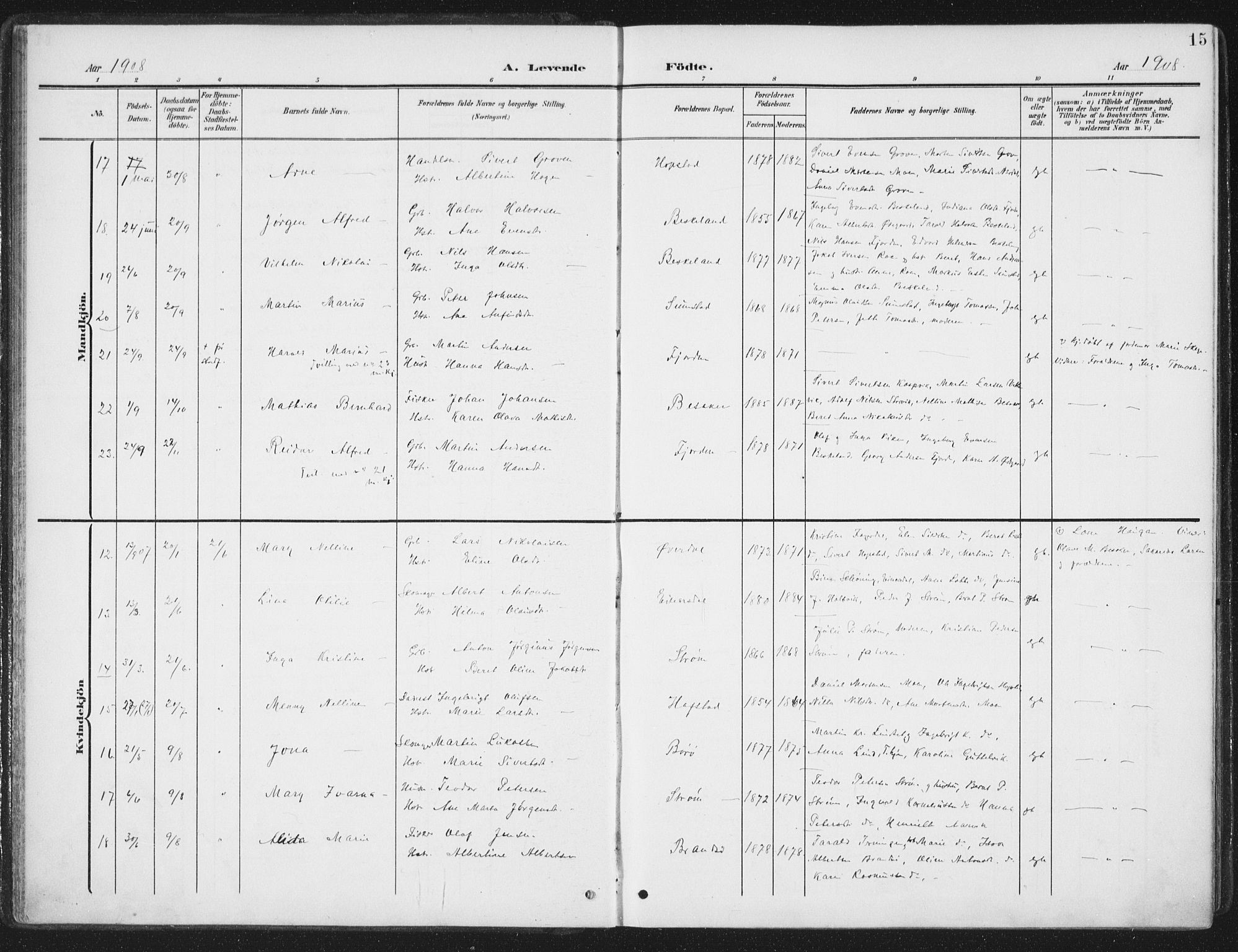 Ministerialprotokoller, klokkerbøker og fødselsregistre - Sør-Trøndelag, AV/SAT-A-1456/657/L0709: Parish register (official) no. 657A10, 1905-1919, p. 15