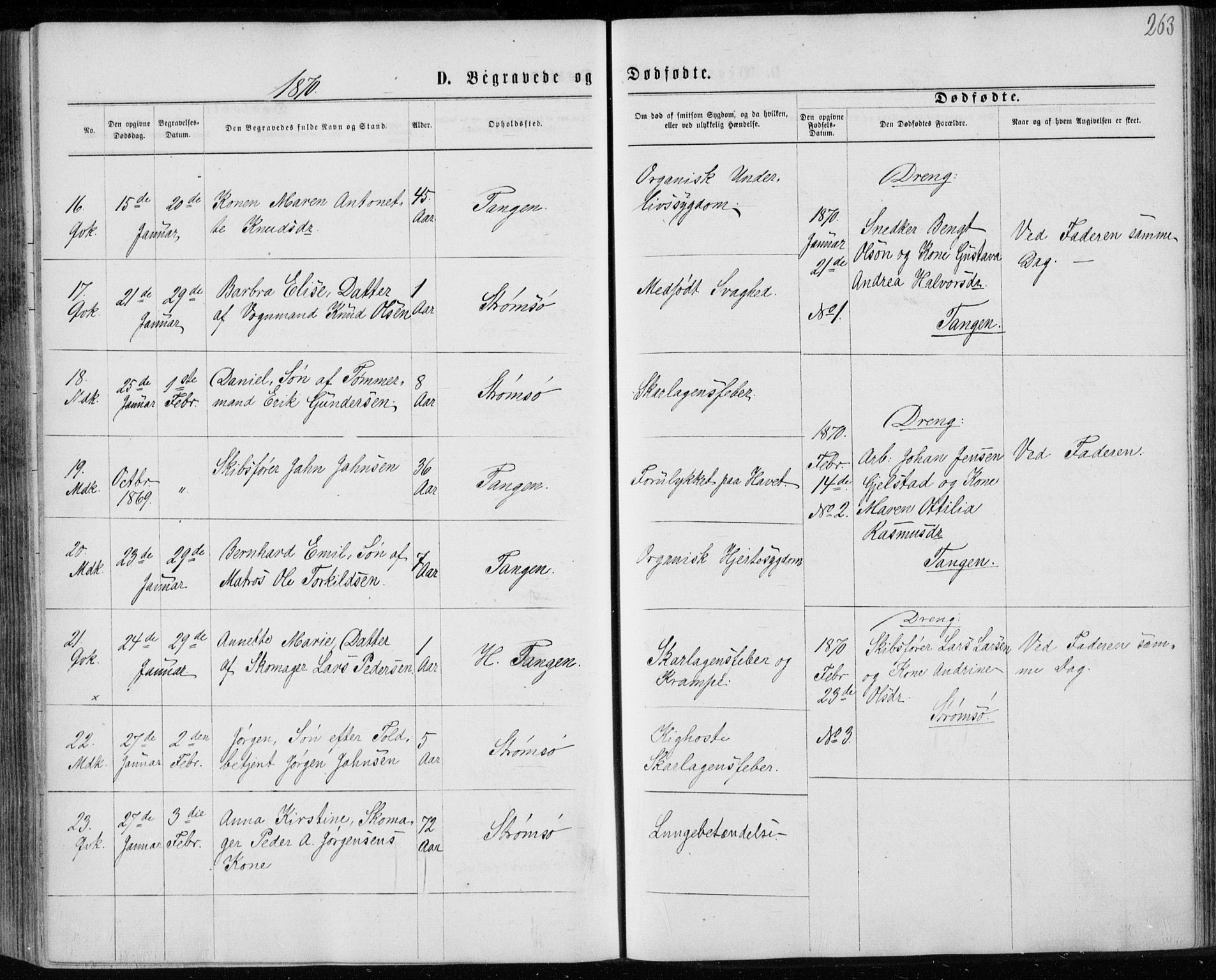 Strømsø kirkebøker, SAKO/A-246/F/Fa/L0016: Parish register (official) no. I 16, 1868-1873, p. 263