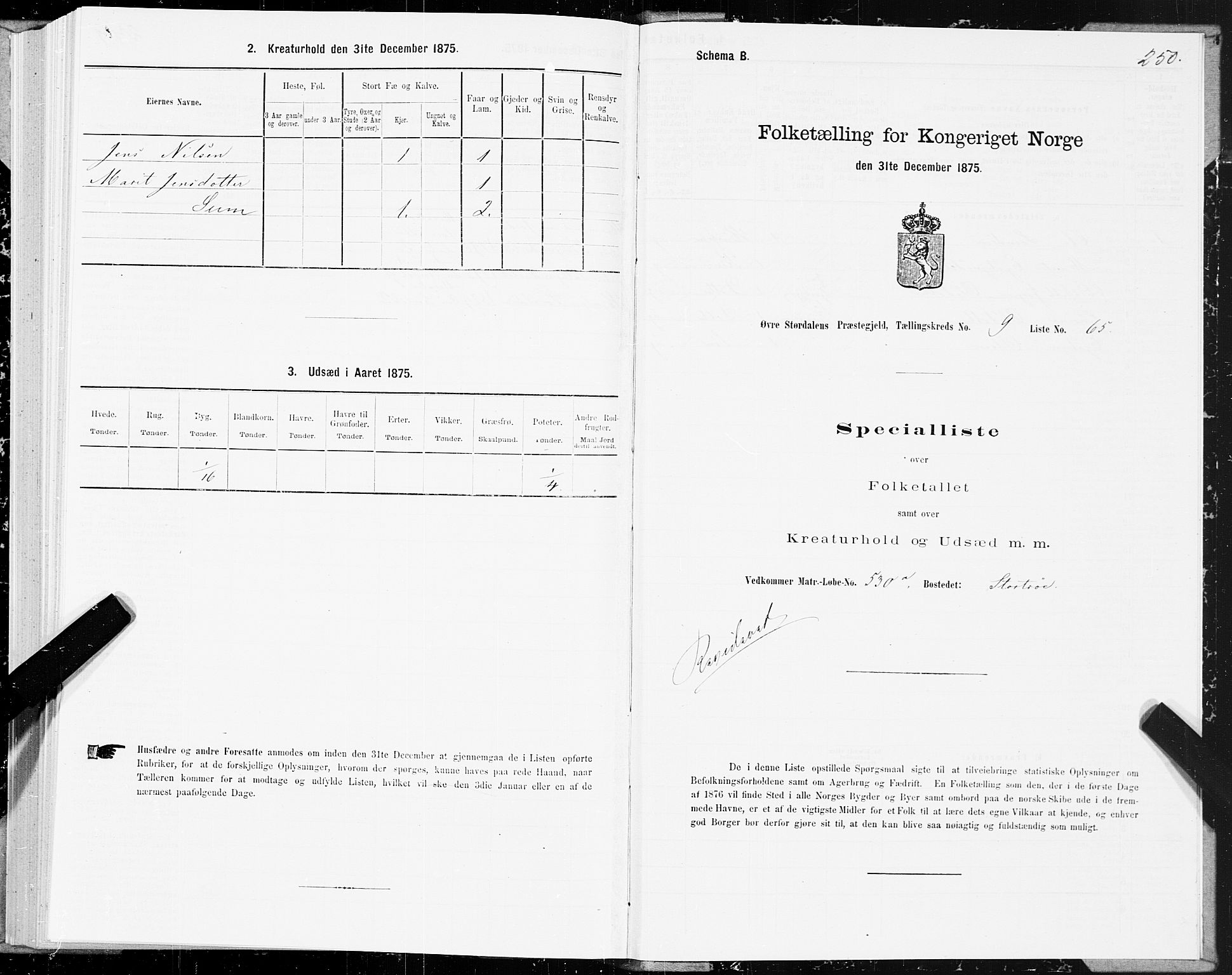 SAT, 1875 census for 1711P Øvre Stjørdal, 1875, p. 5250