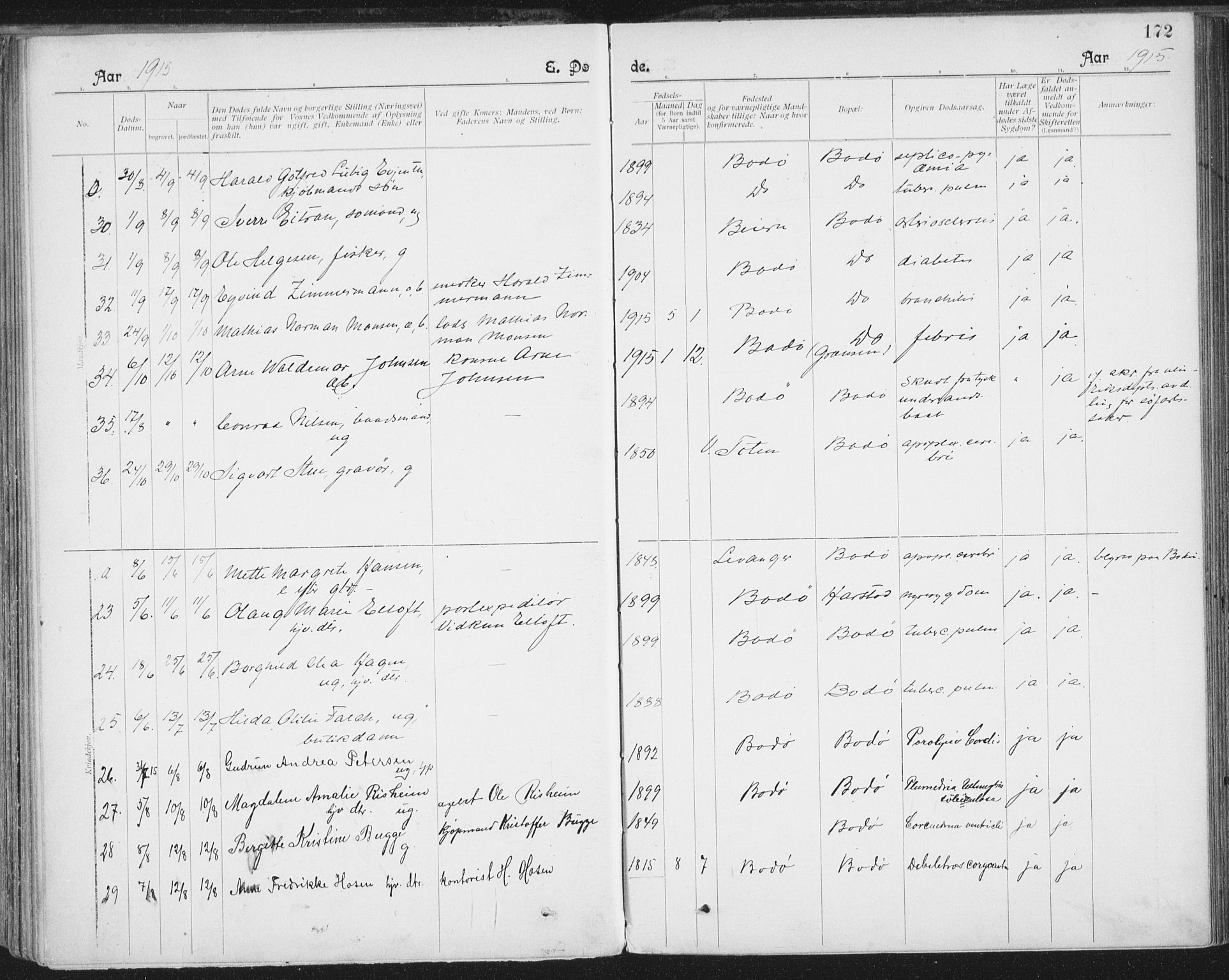 Ministerialprotokoller, klokkerbøker og fødselsregistre - Nordland, AV/SAT-A-1459/801/L0012: Parish register (official) no. 801A12, 1900-1916, p. 172