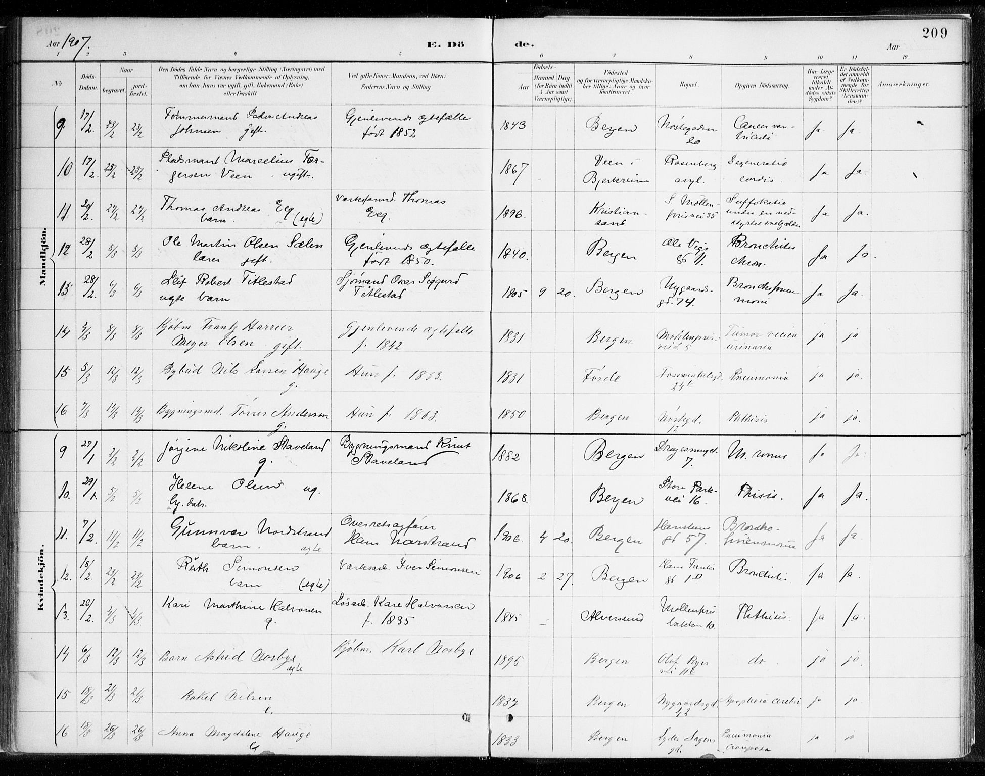 Johanneskirken sokneprestembete, AV/SAB-A-76001/H/Haa/L0019: Parish register (official) no. E 1, 1885-1915, p. 209