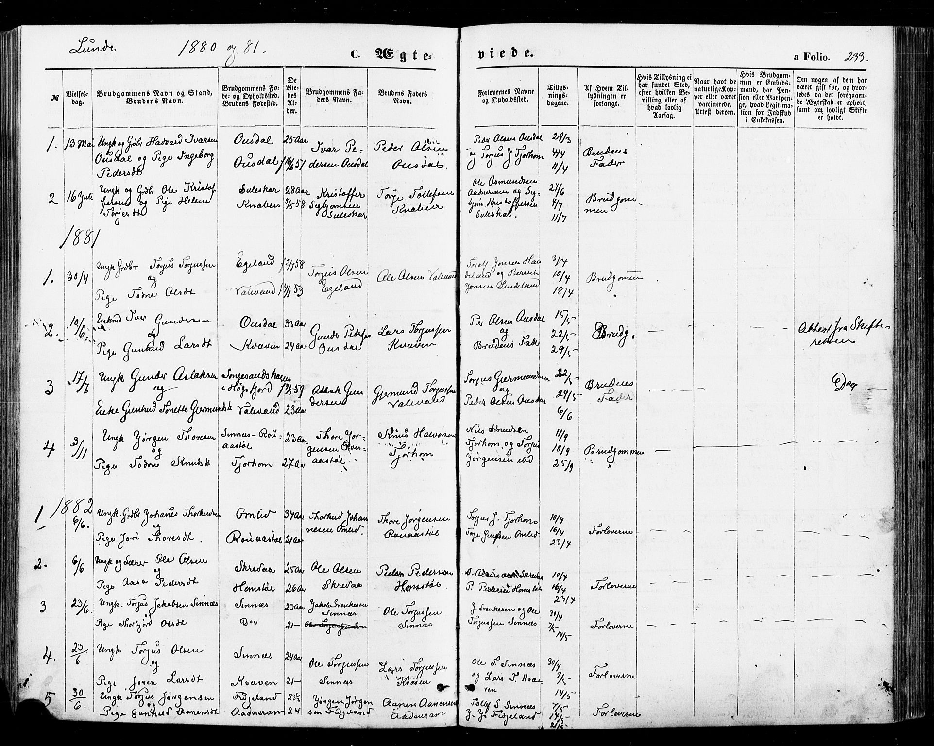 Sirdal sokneprestkontor, SAK/1111-0036/F/Fa/Fab/L0003: Parish register (official) no. A 3, 1874-1886, p. 233