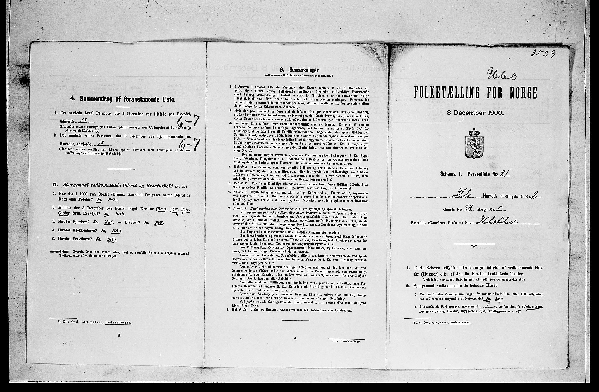 RA, 1900 census for Hol, 1900, p. 30