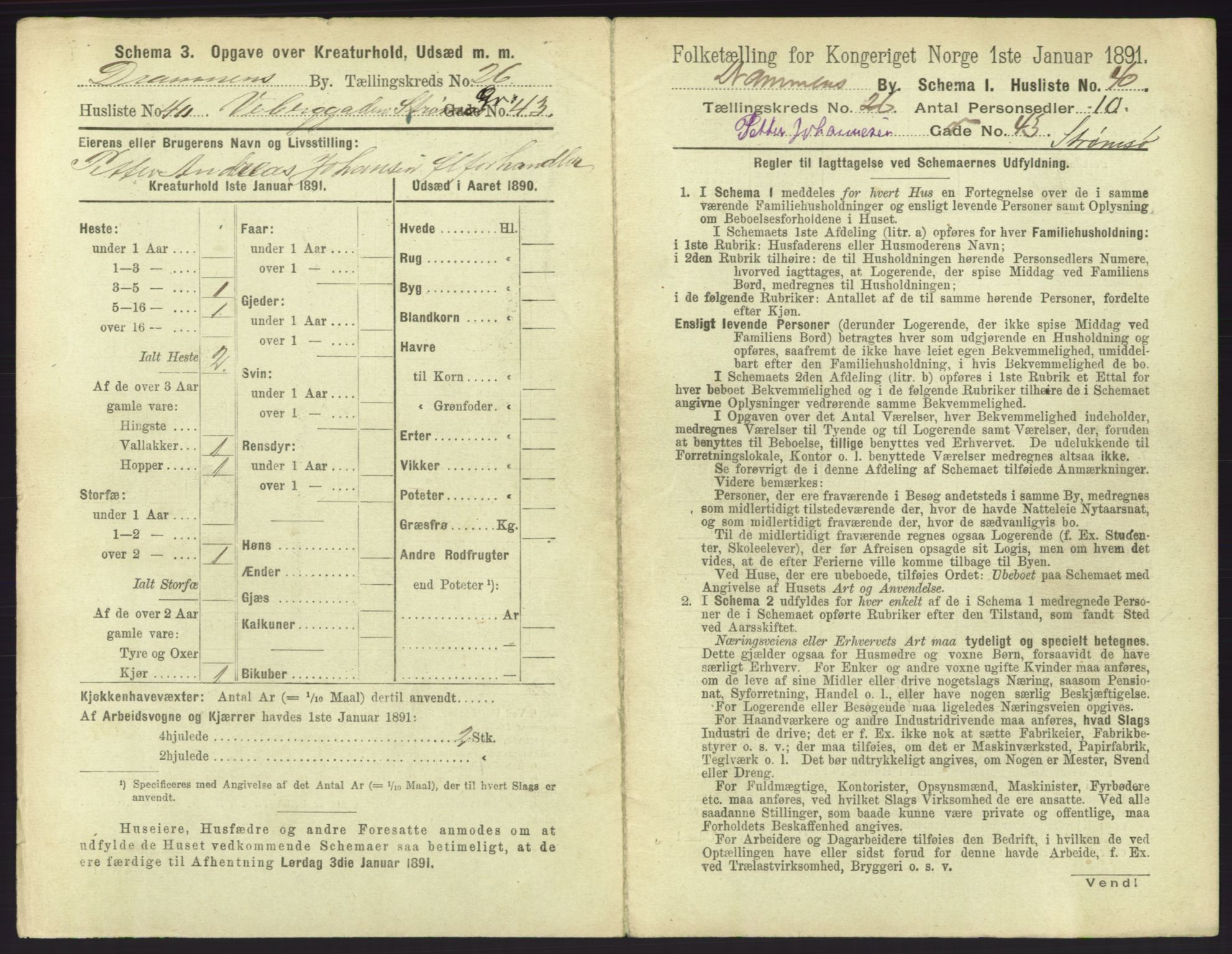 RA, 1891 census for 0602 Drammen, 1891, p. 2255