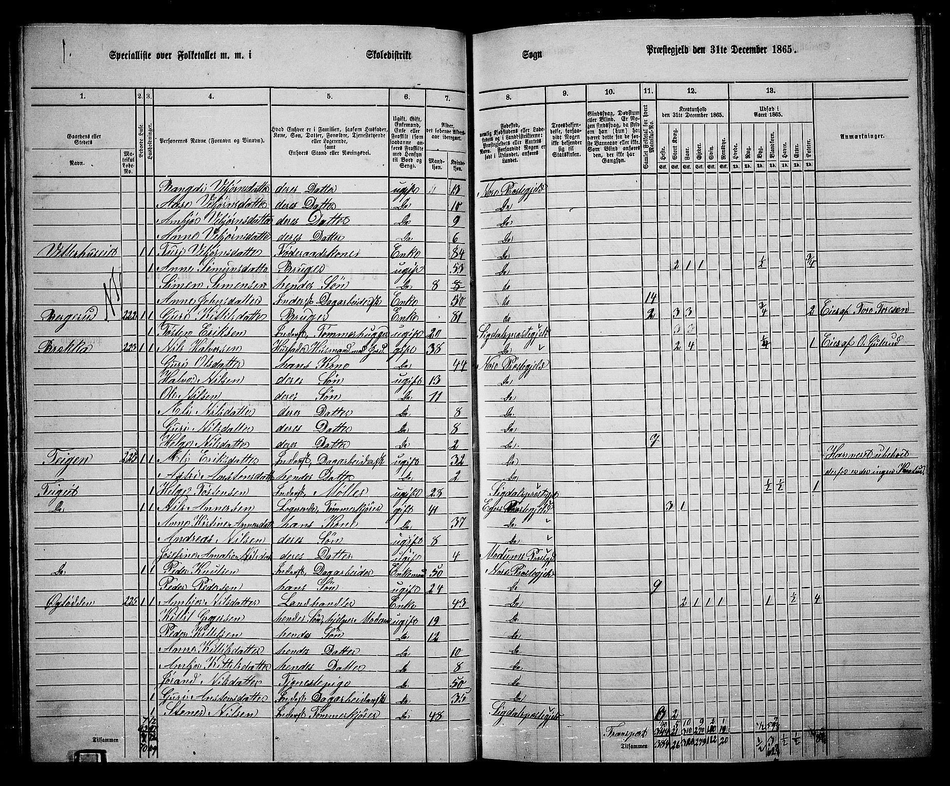 RA, 1865 census for Nore, 1865, p. 43