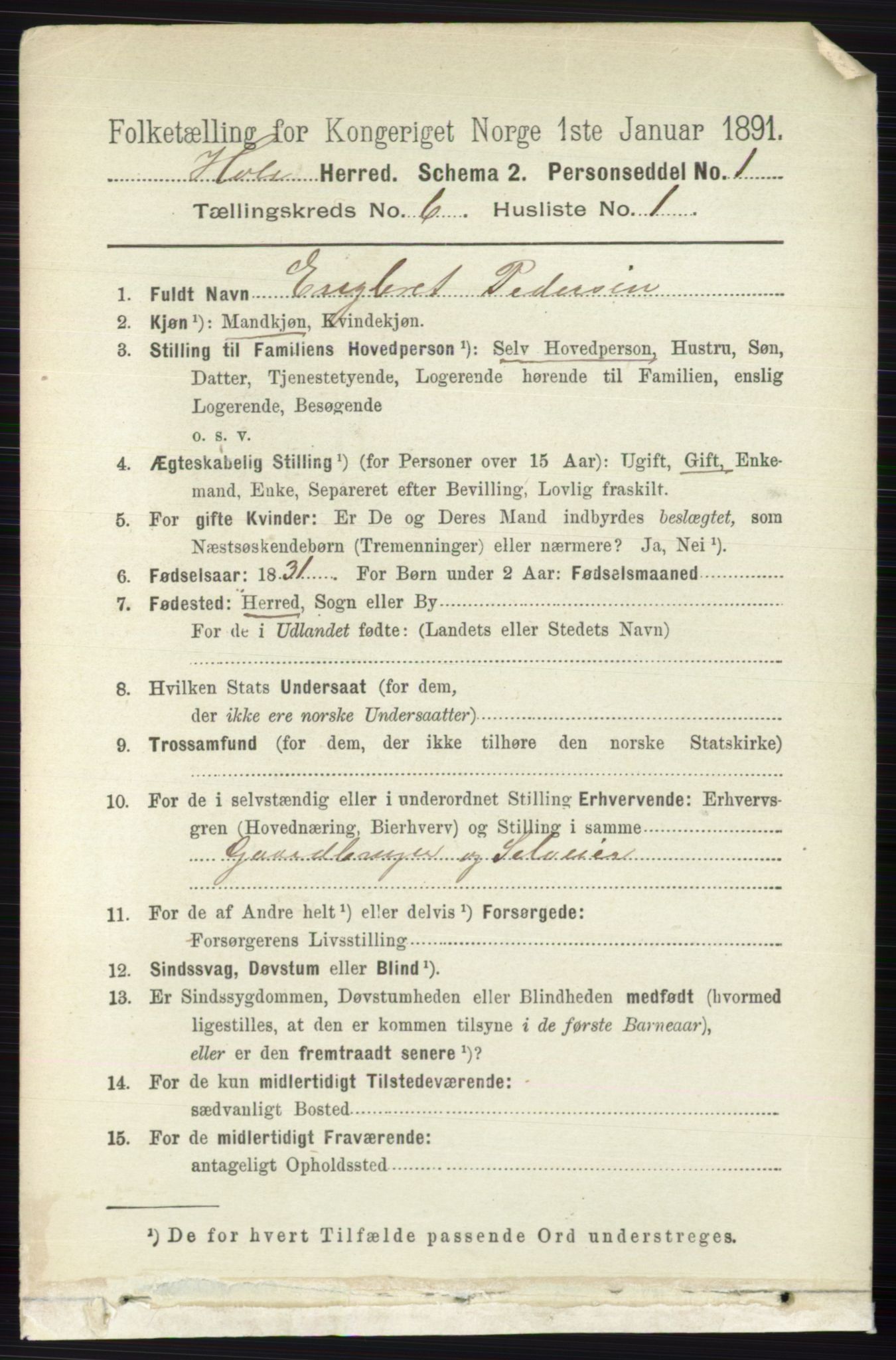 RA, 1891 census for 0612 Hole, 1891, p. 3104