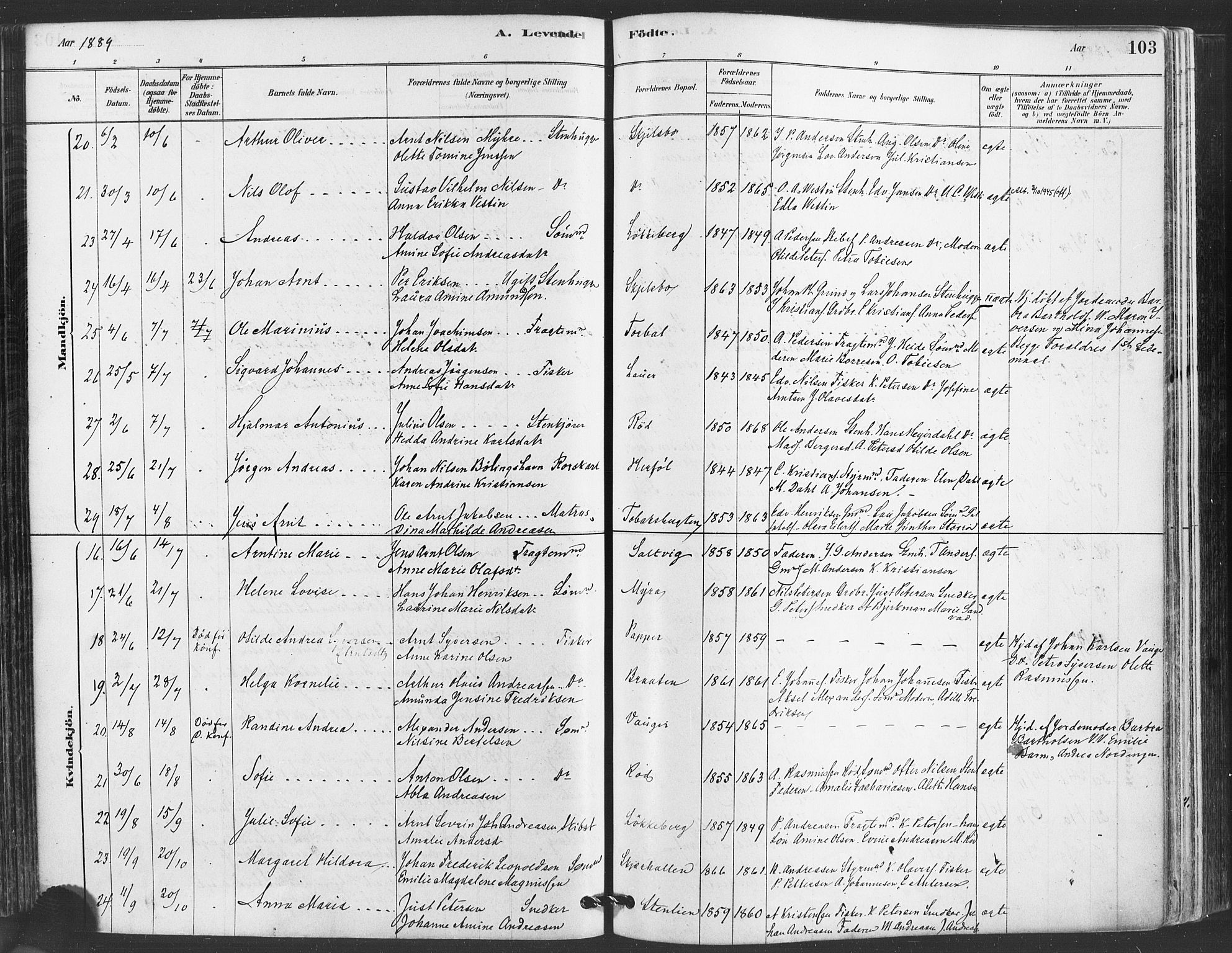 Hvaler prestekontor Kirkebøker, SAO/A-2001/F/Fa/L0008: Parish register (official) no. I 8, 1878-1895, p. 103