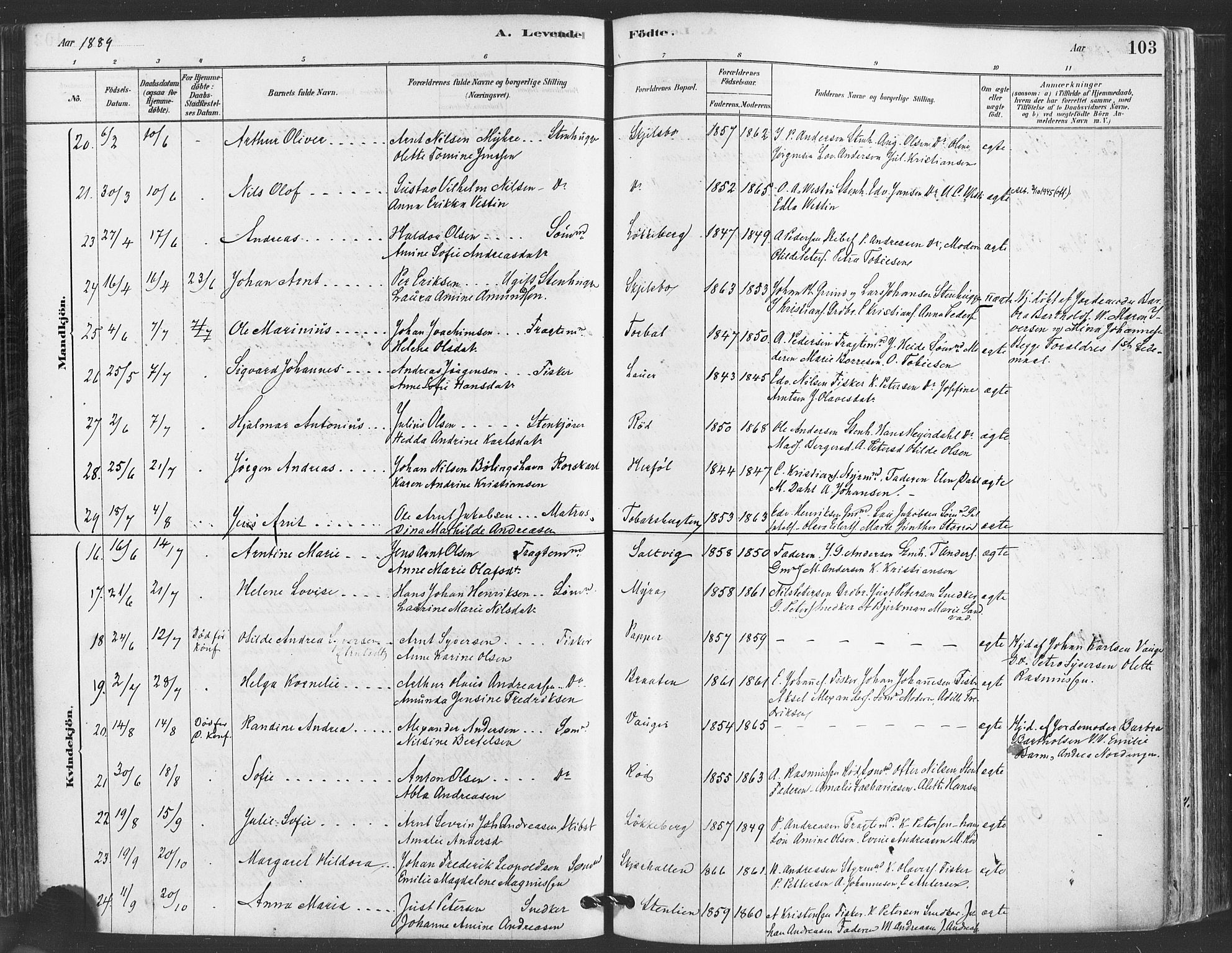 Hvaler prestekontor Kirkebøker, AV/SAO-A-2001/F/Fa/L0008: Parish register (official) no. I 8, 1878-1895, p. 103