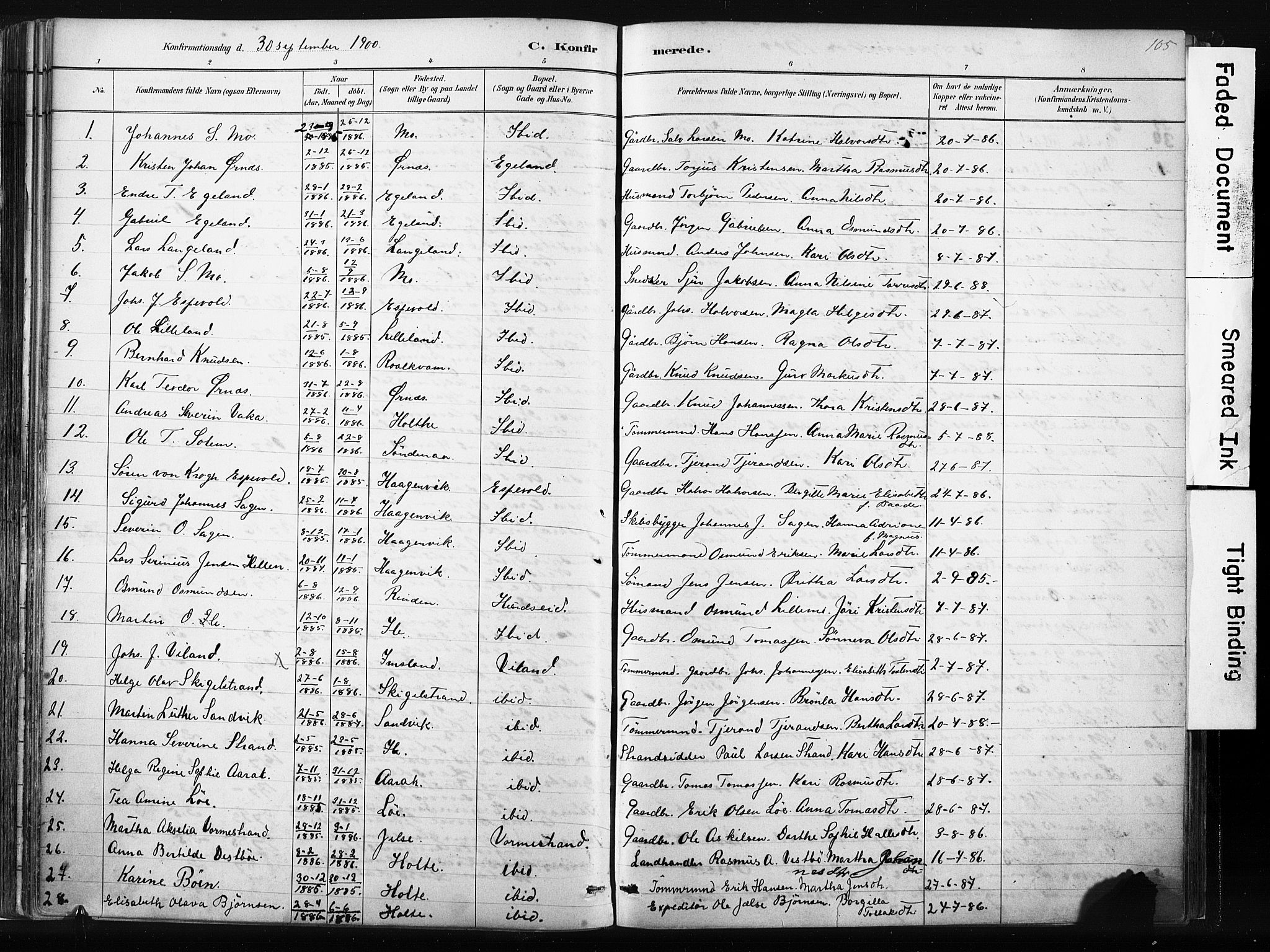 Vikedal sokneprestkontor, AV/SAST-A-101840/01/IV: Parish register (official) no. A 10, 1884-1907, p. 105