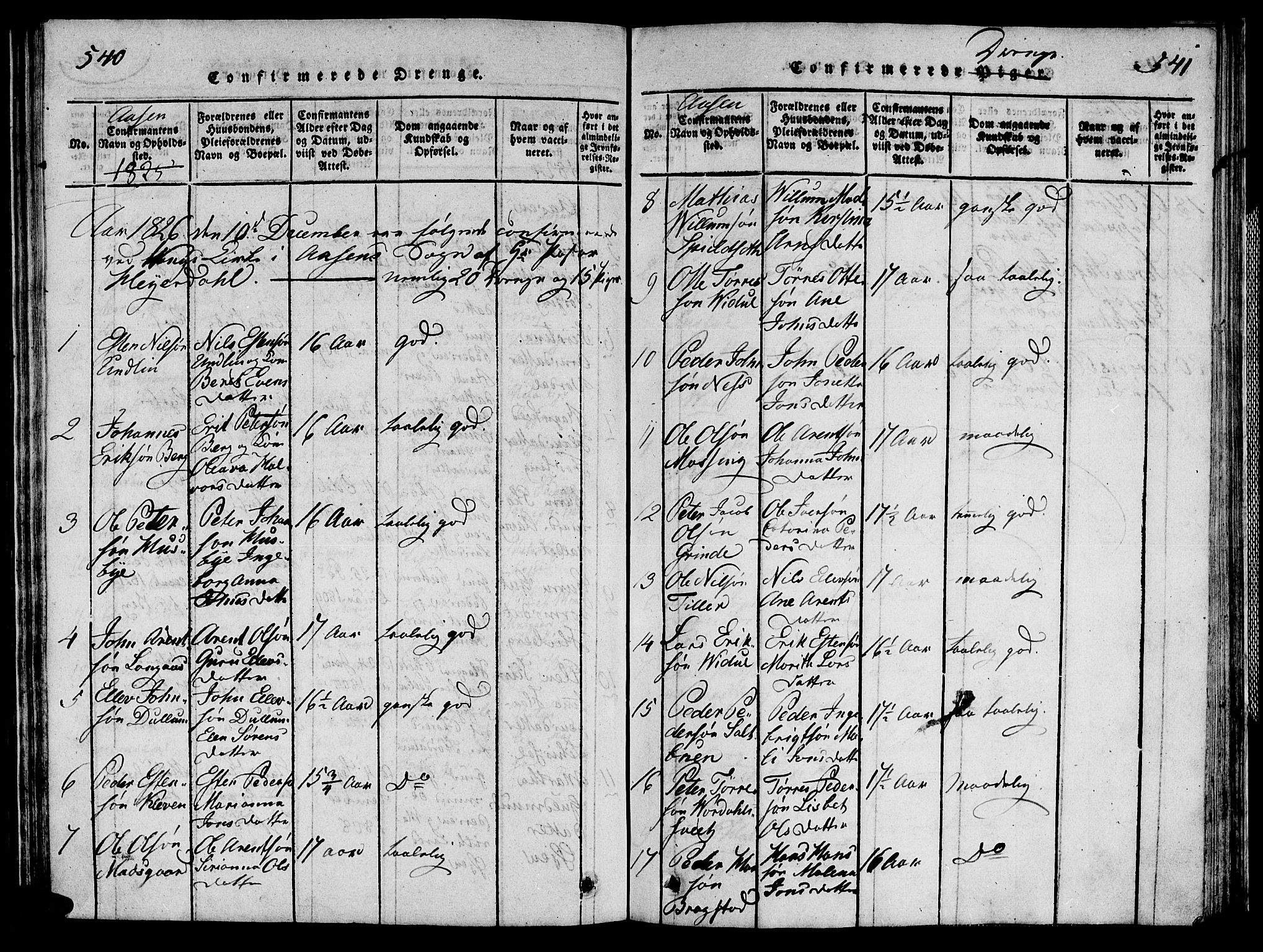 Ministerialprotokoller, klokkerbøker og fødselsregistre - Nord-Trøndelag, AV/SAT-A-1458/713/L0112: Parish register (official) no. 713A04 /2, 1817-1827, p. 540-541