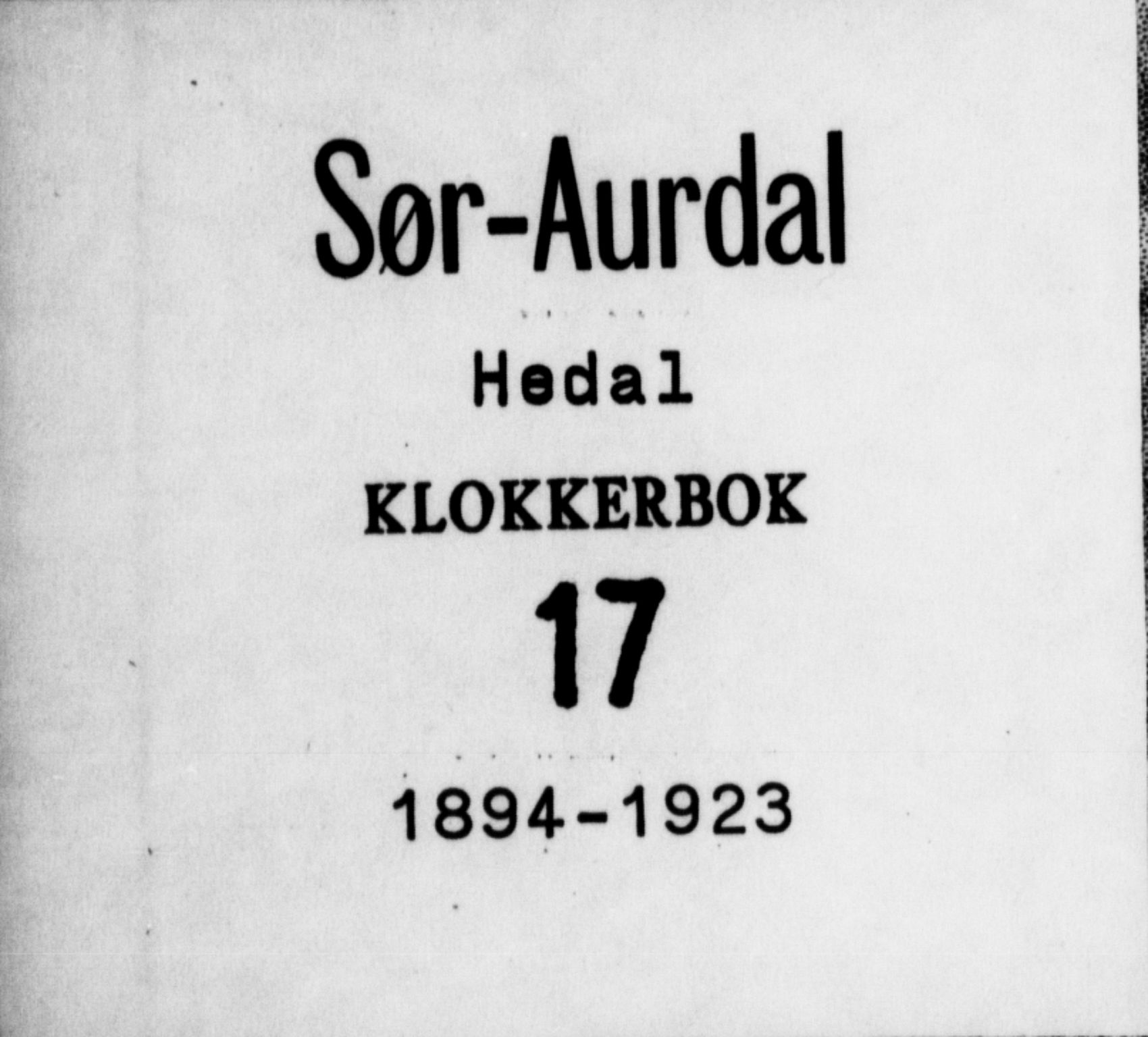 Sør-Aurdal prestekontor, SAH/PREST-128/H/Ha/Hab/L0017: Parish register (copy) no. 17, 1894-1923