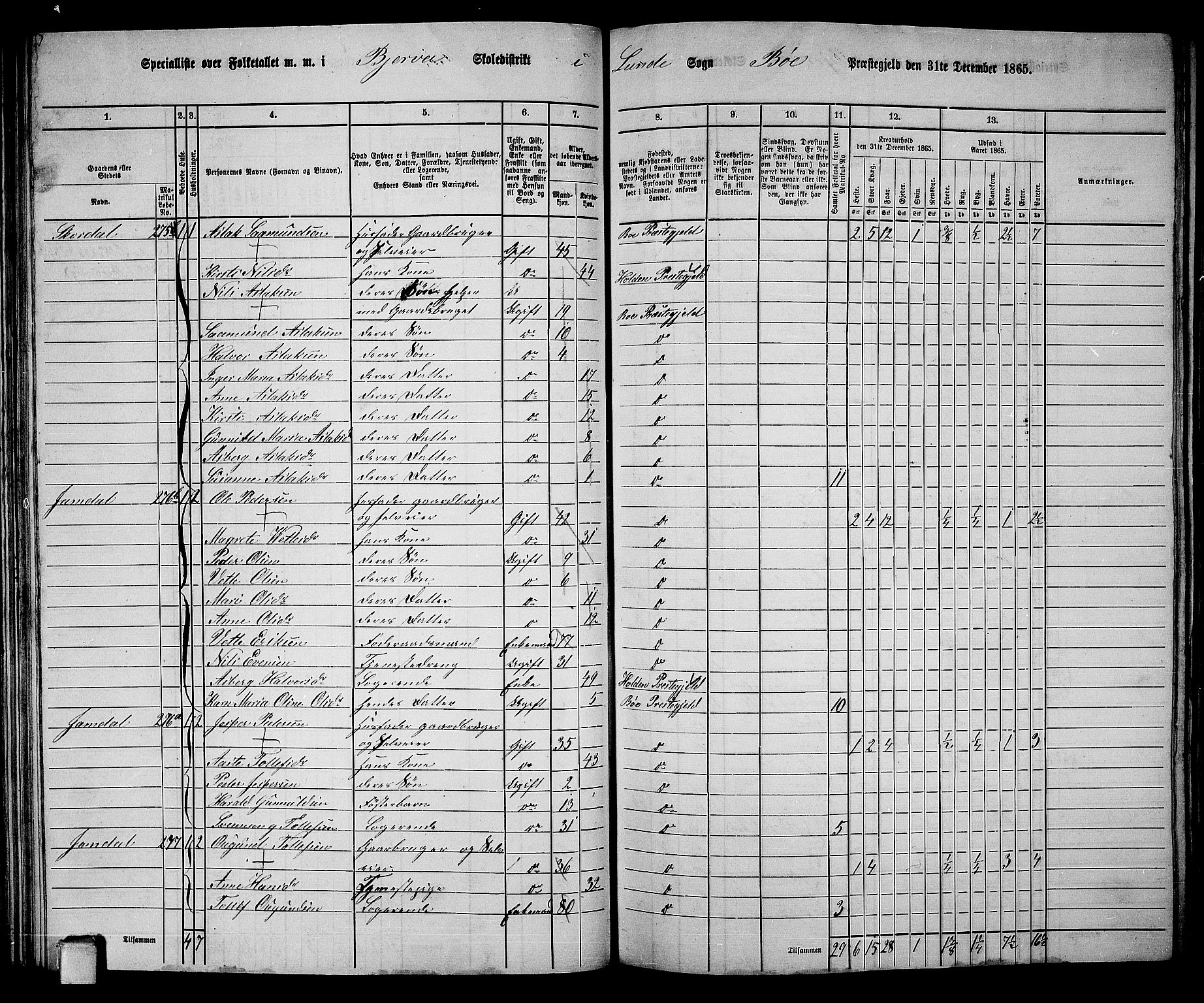 RA, 1865 census for Bø, 1865, p. 49