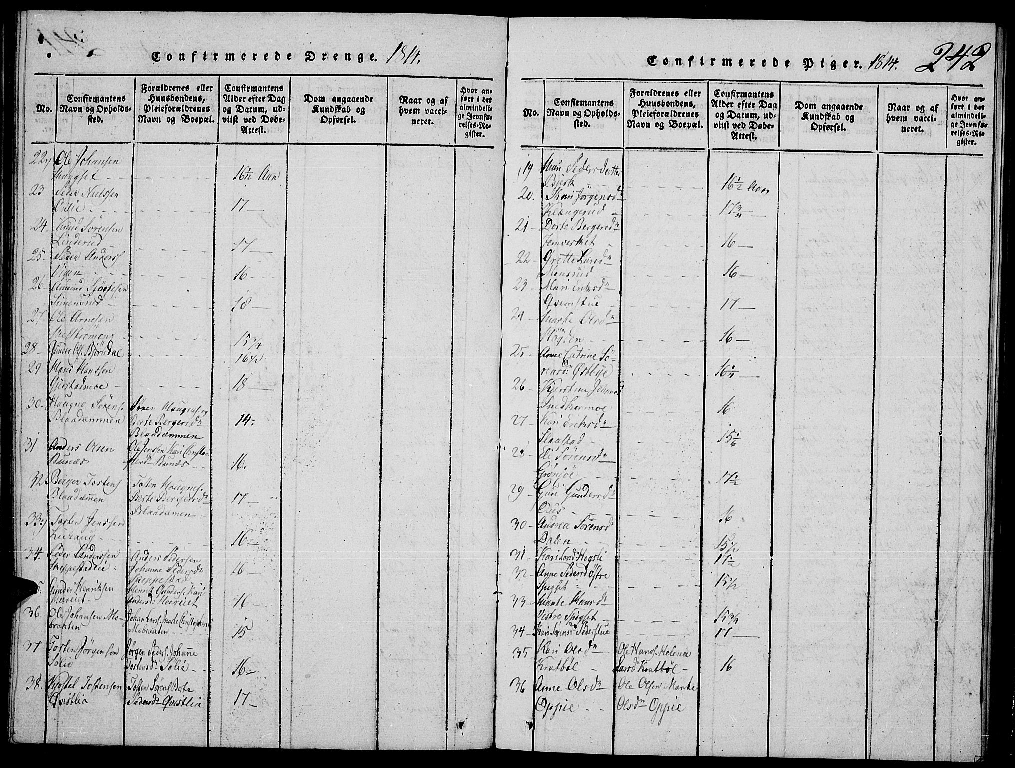 Strøm-Odalen prestekontor, AV/SAH-PREST-028/H/Ha/Hab/L0001: Parish register (copy) no. 1, 1813-1825, p. 242