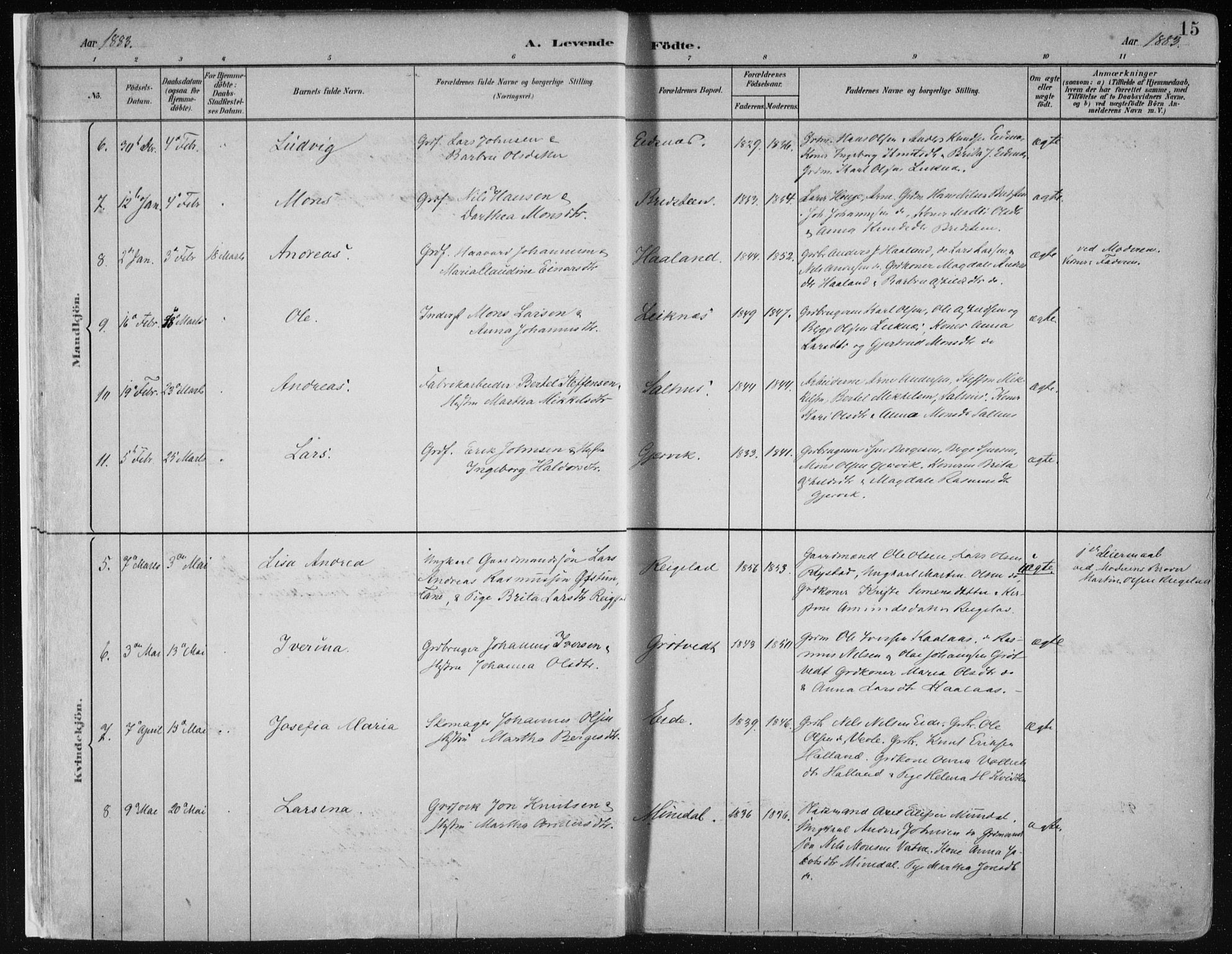 Hamre sokneprestembete, AV/SAB-A-75501/H/Ha/Haa/Haab/L0001: Parish register (official) no. B  1, 1882-1905, p. 15