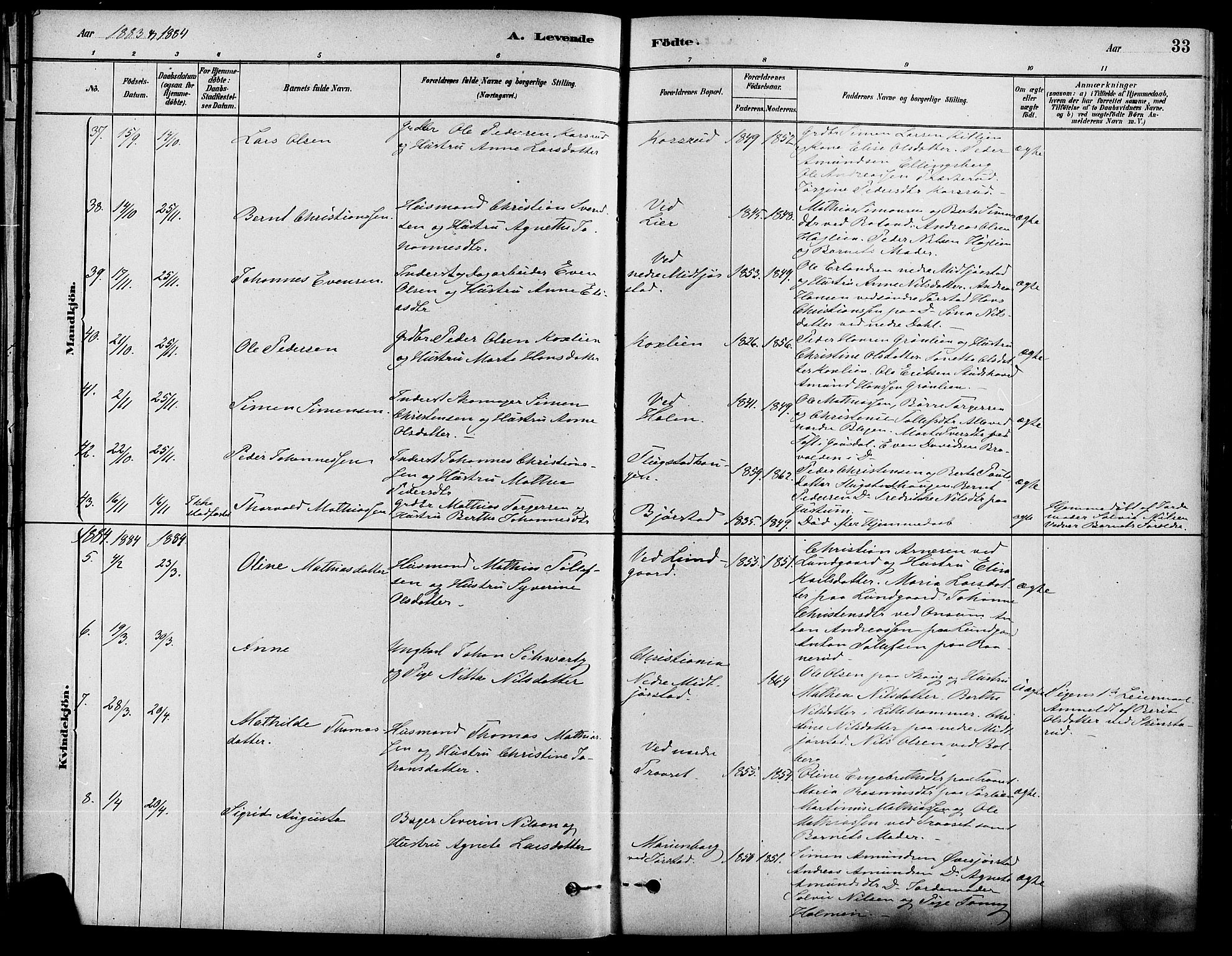 Fåberg prestekontor, AV/SAH-PREST-086/H/Ha/Haa/L0008: Parish register (official) no. 8, 1879-1898, p. 33