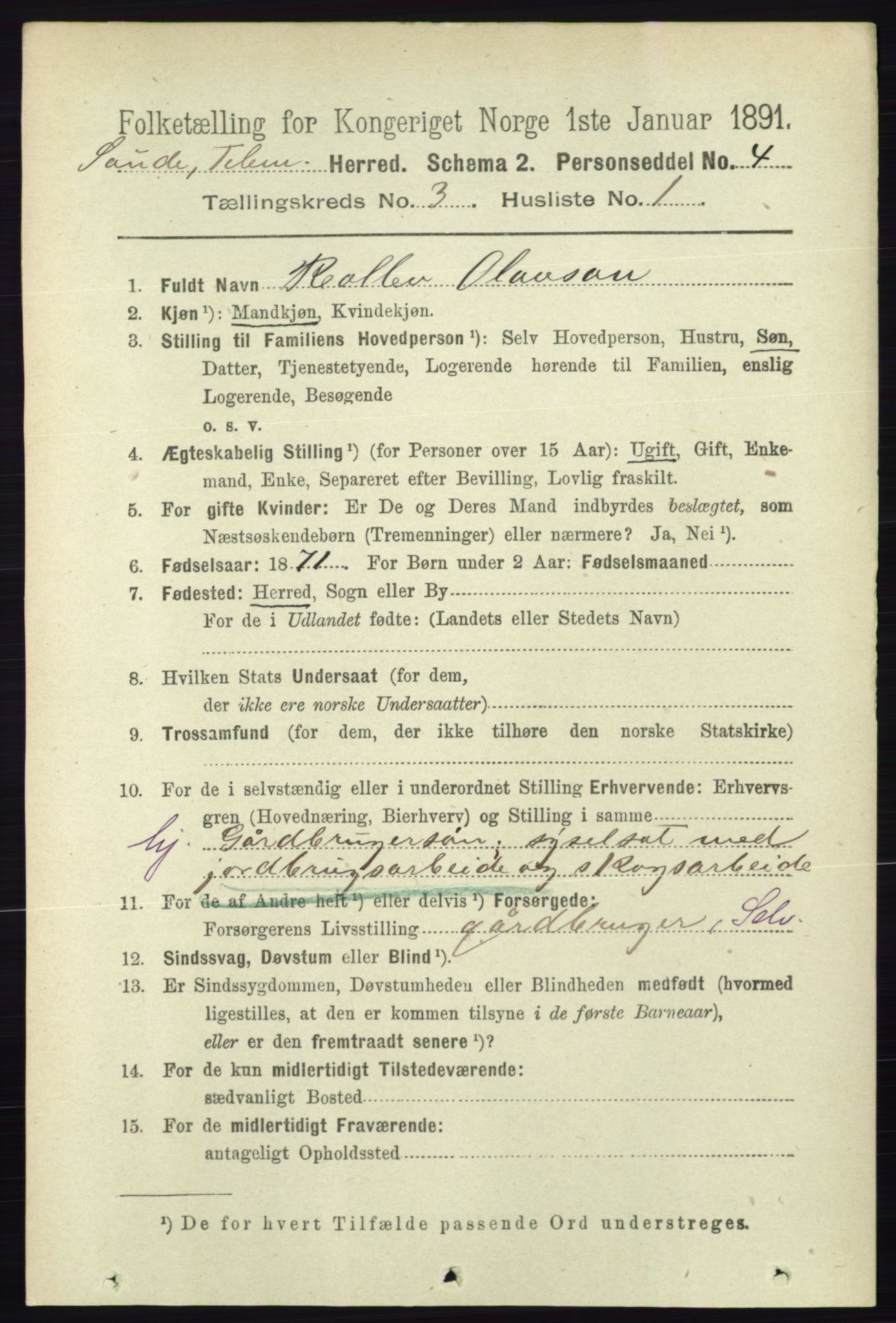 RA, 1891 census for 0822 Sauherad, 1891, p. 734