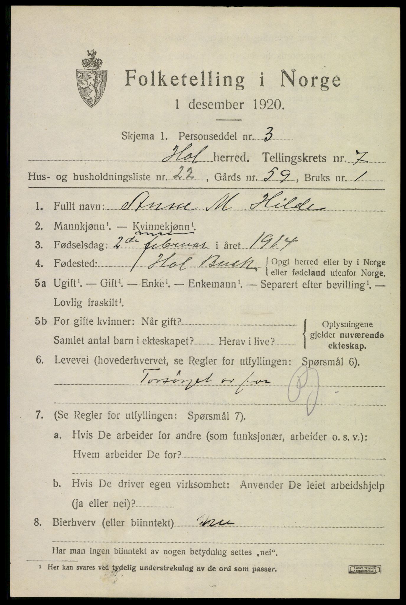 SAKO, 1920 census for Hol (Buskerud), 1920, p. 3781