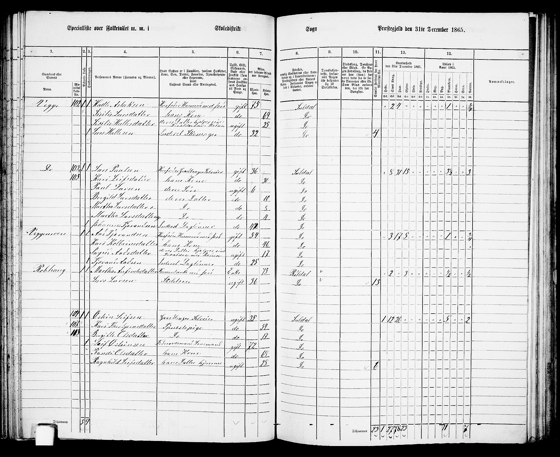 RA, 1865 census for Suldal, 1865, p. 66