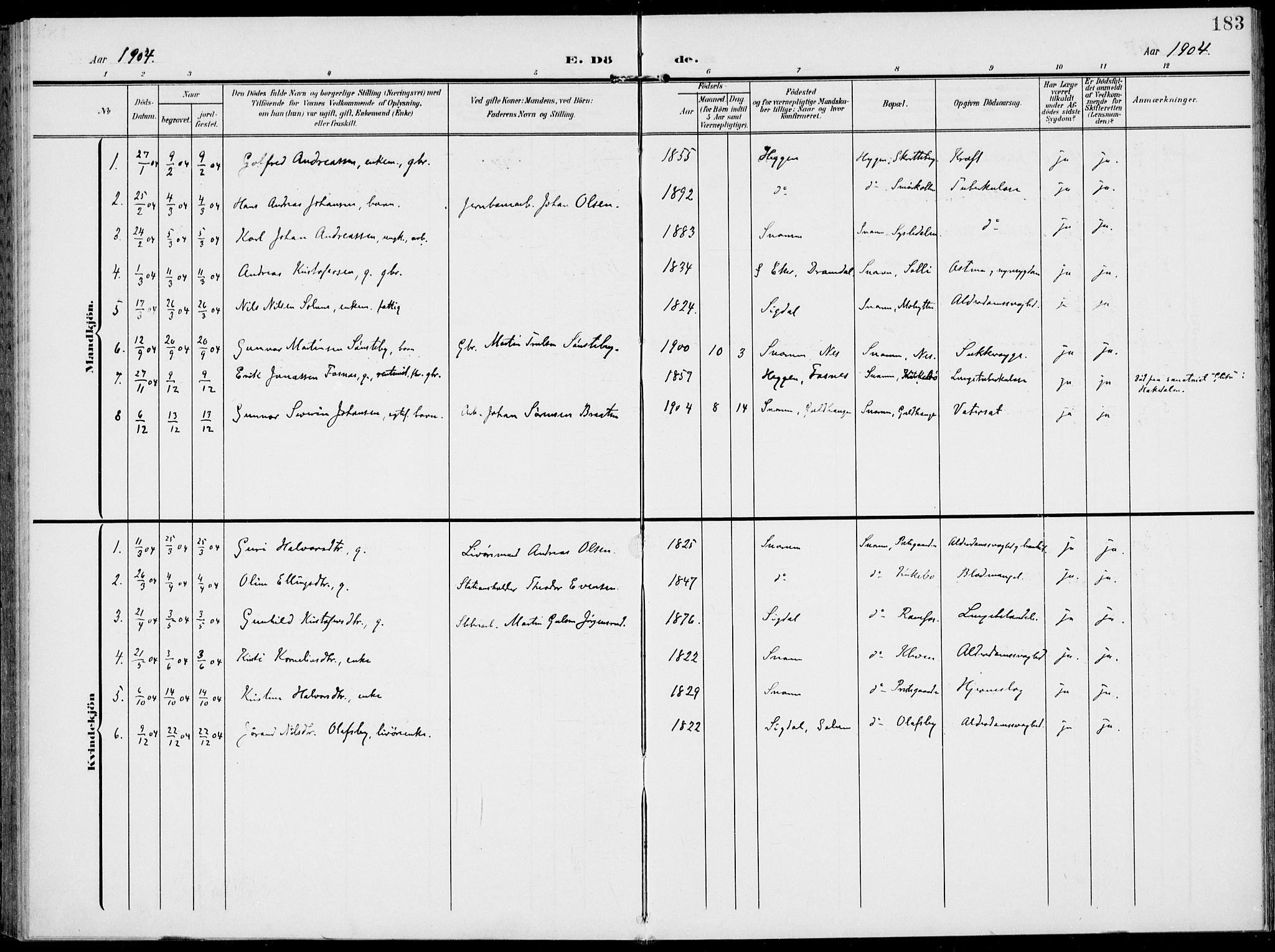 Modum kirkebøker, AV/SAKO-A-234/F/Fa/L0019: Parish register (official) no. 19, 1890-1914, p. 183