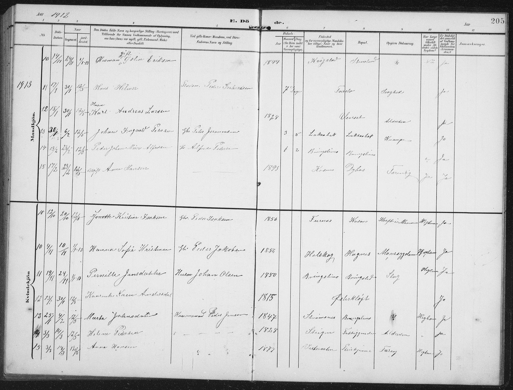 Ministerialprotokoller, klokkerbøker og fødselsregistre - Nordland, AV/SAT-A-1459/851/L0726: Parish register (copy) no. 851C01, 1902-1924, p. 205