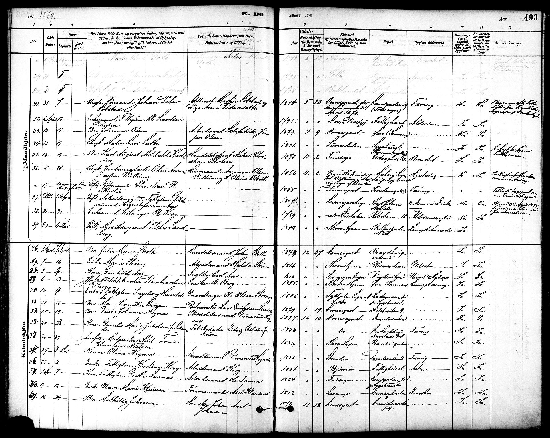 Ministerialprotokoller, klokkerbøker og fødselsregistre - Sør-Trøndelag, AV/SAT-A-1456/601/L0058: Parish register (official) no. 601A26, 1877-1891, p. 493