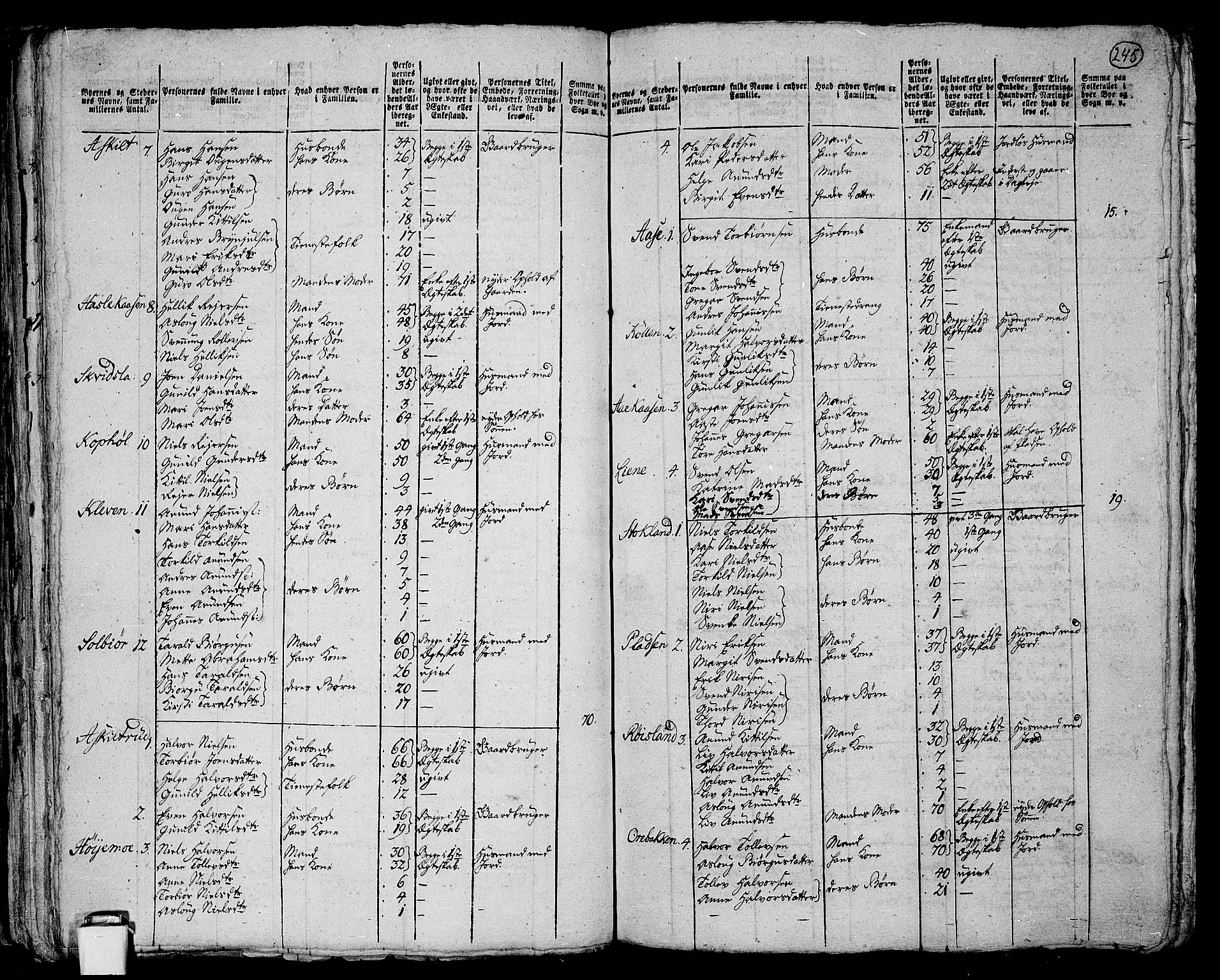 RA, 1801 census for 0821P Bø, 1801, p. 244b-245a