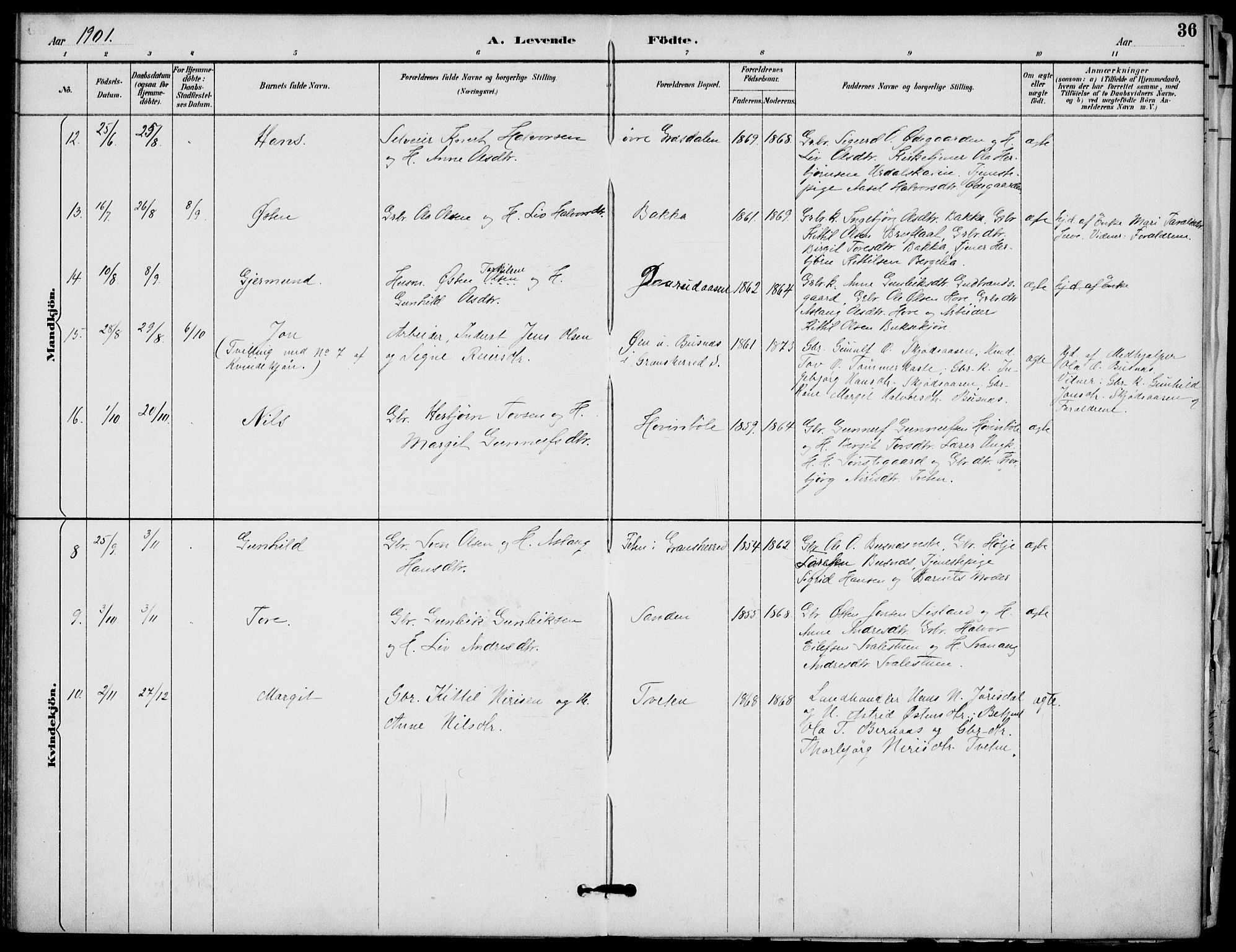 Gransherad kirkebøker, AV/SAKO-A-267/F/Fb/L0005: Parish register (official) no. II 5, 1887-1916, p. 36