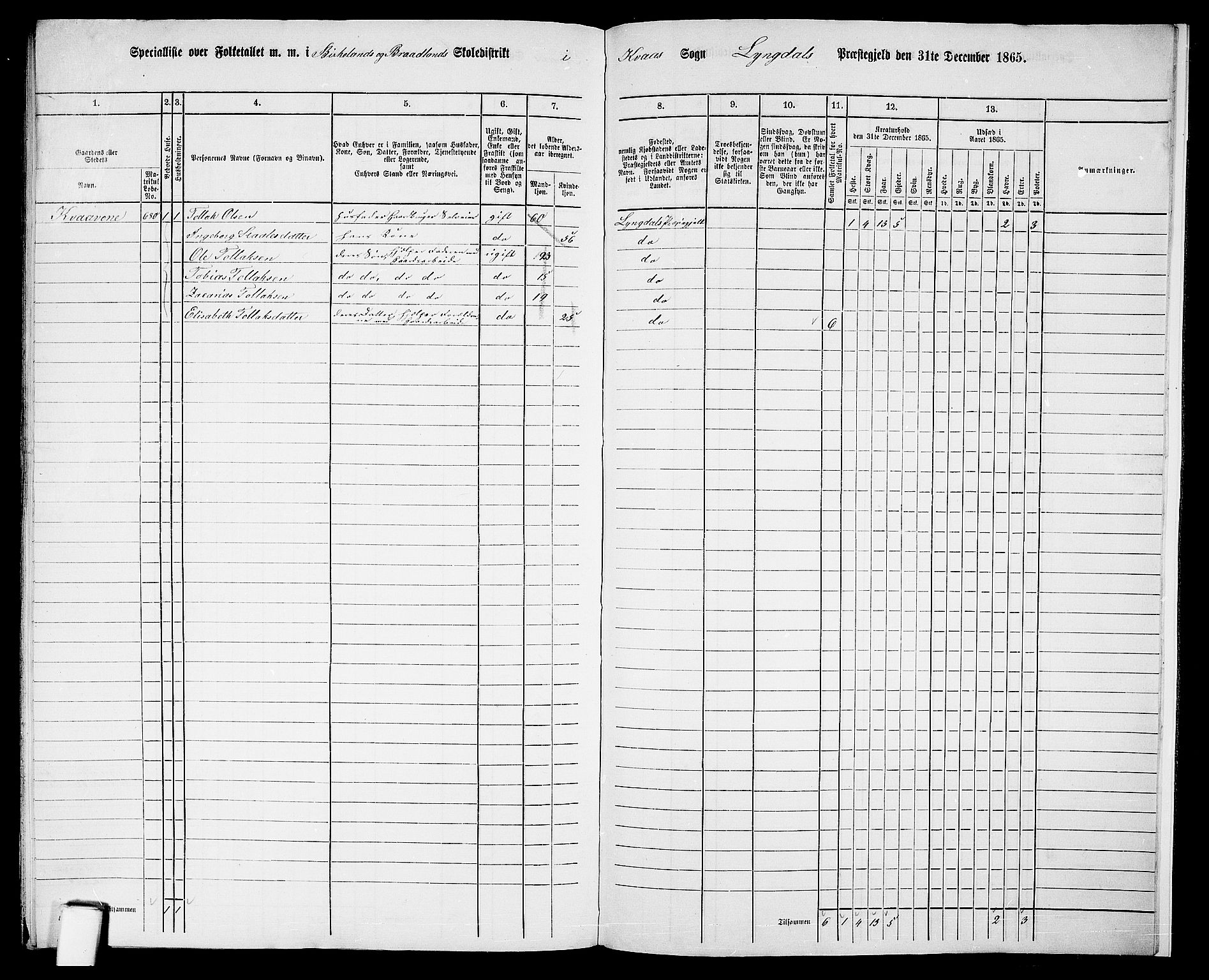 RA, 1865 census for Lyngdal, 1865, p. 253