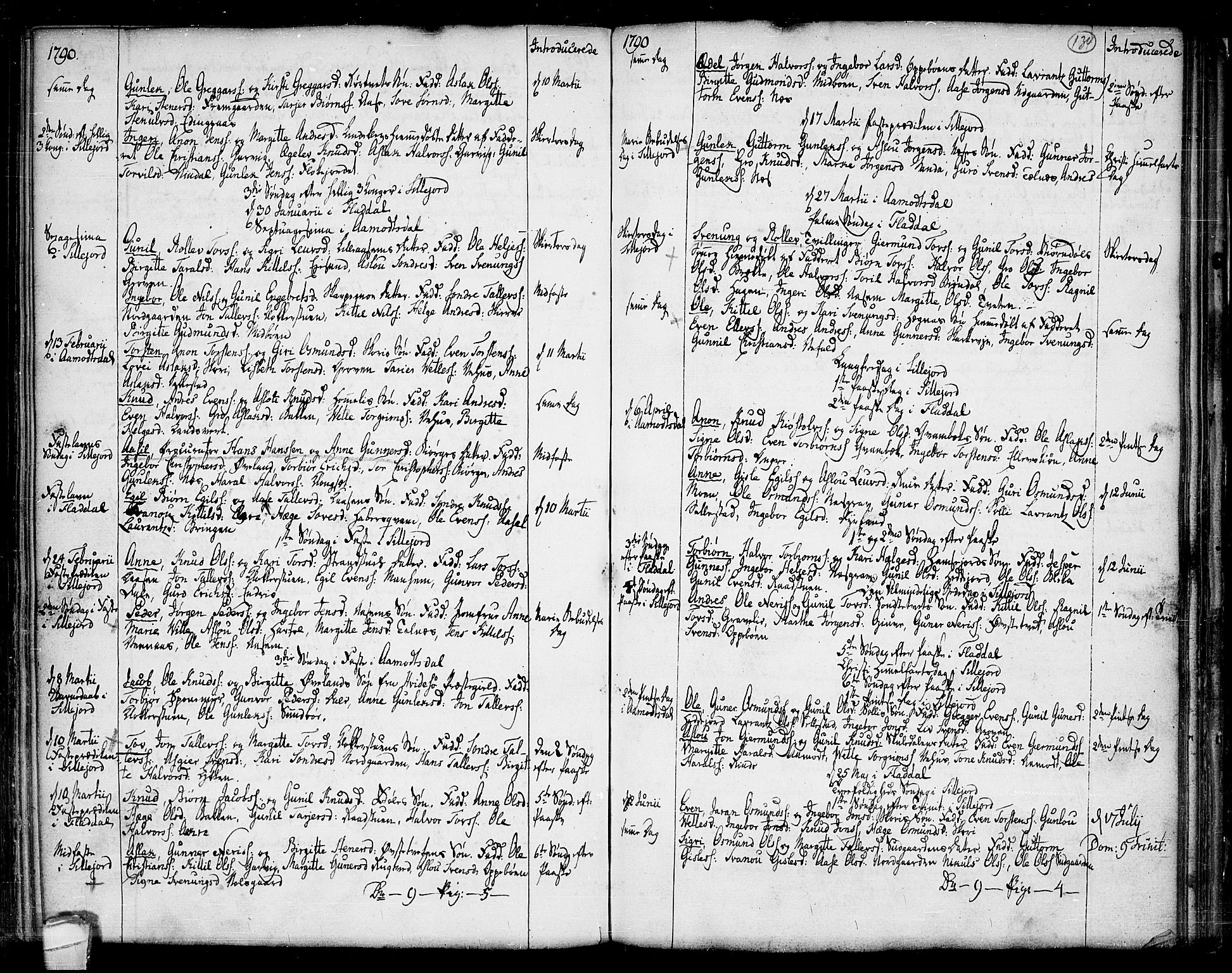 Seljord kirkebøker, SAKO/A-20/F/Fa/L0007: Parish register (official) no. I 7, 1755-1800, p. 134