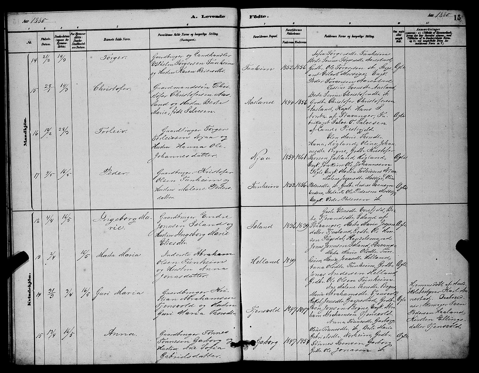 Lye sokneprestkontor, AV/SAST-A-101794/001/30BB/L0006: Parish register (copy) no. B 6, 1879-1888, p. 15