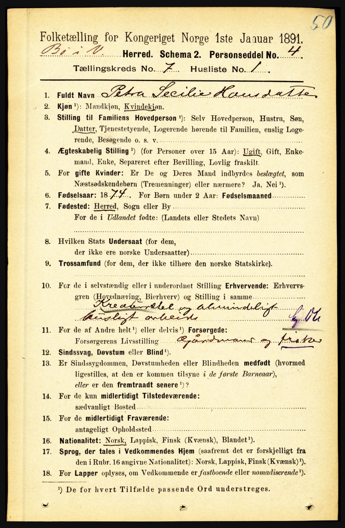 RA, 1891 census for 1867 Bø, 1891, p. 2490