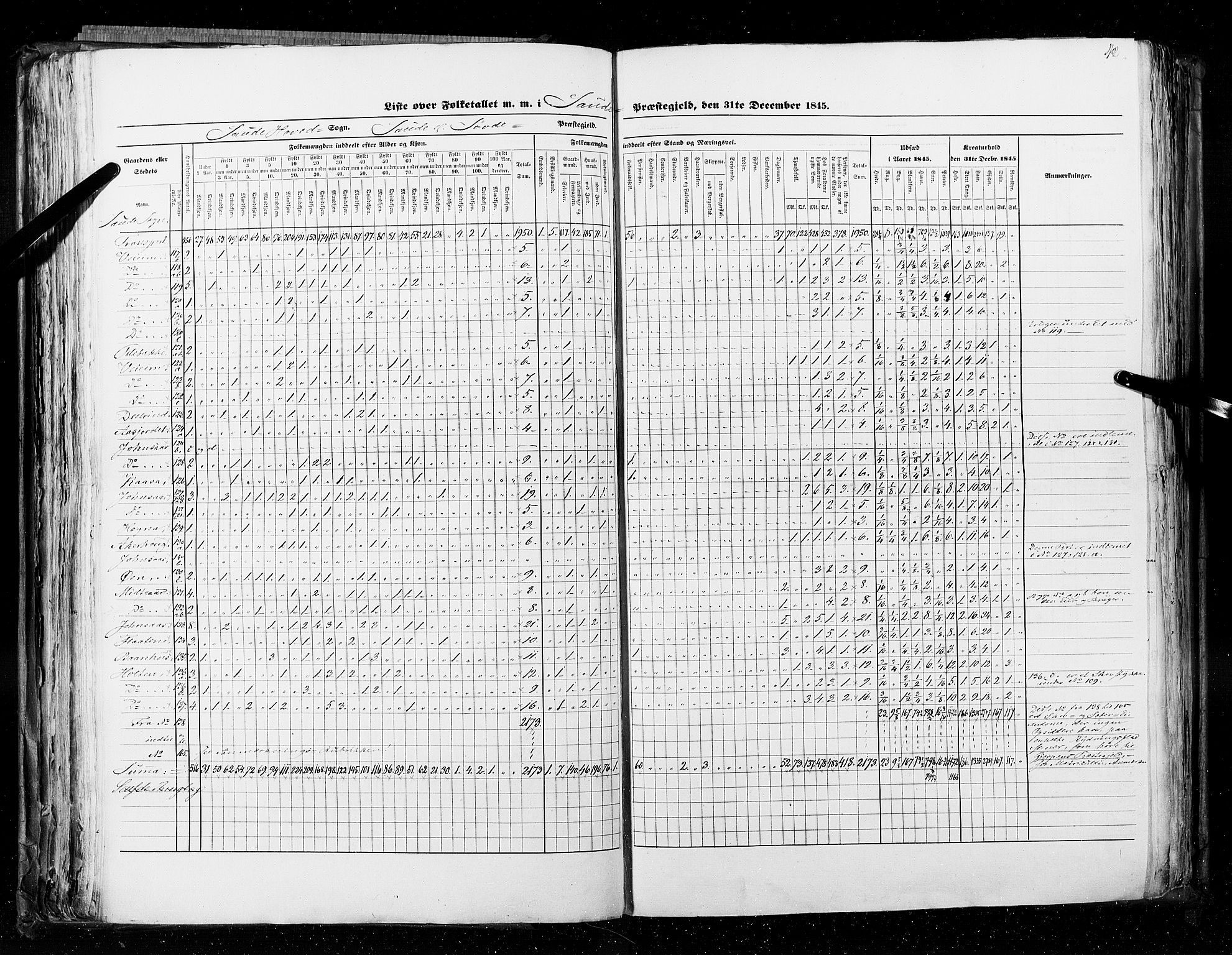 RA, Census 1845, vol. 5: Bratsberg amt og Nedenes og Råbyggelaget amt, 1845, p. 112