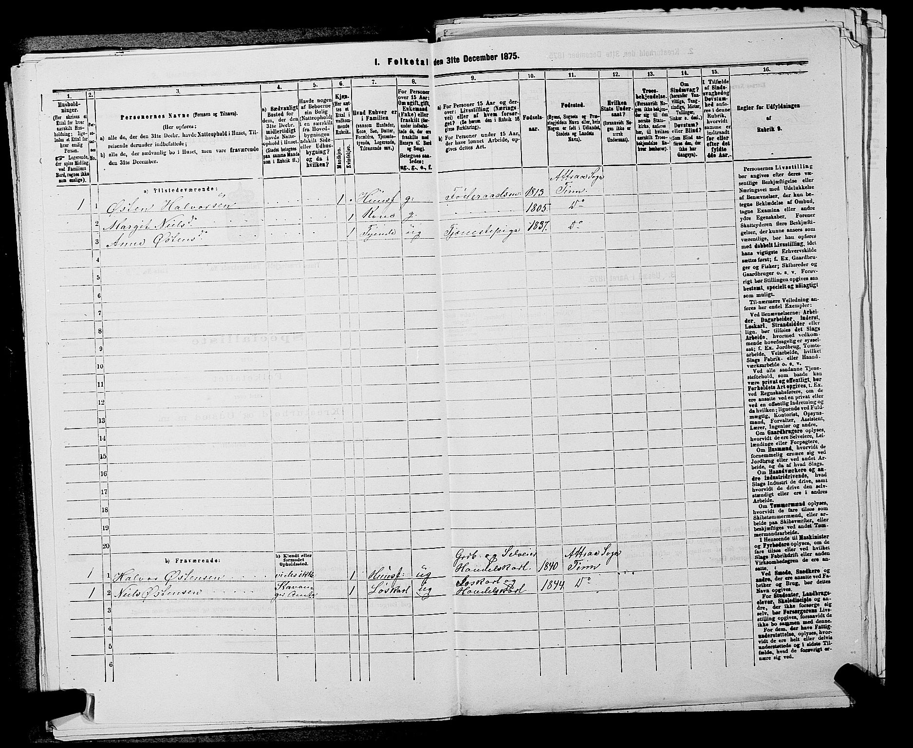 SAKO, 1875 census for 0826P Tinn, 1875, p. 505
