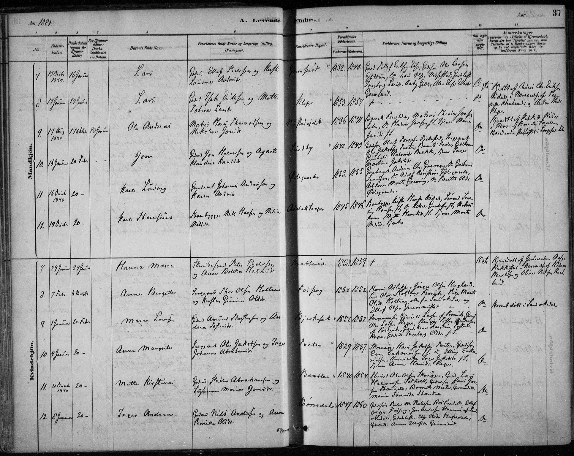 Bamble kirkebøker, SAKO/A-253/F/Fa/L0007: Parish register (official) no. I 7, 1878-1888, p. 37